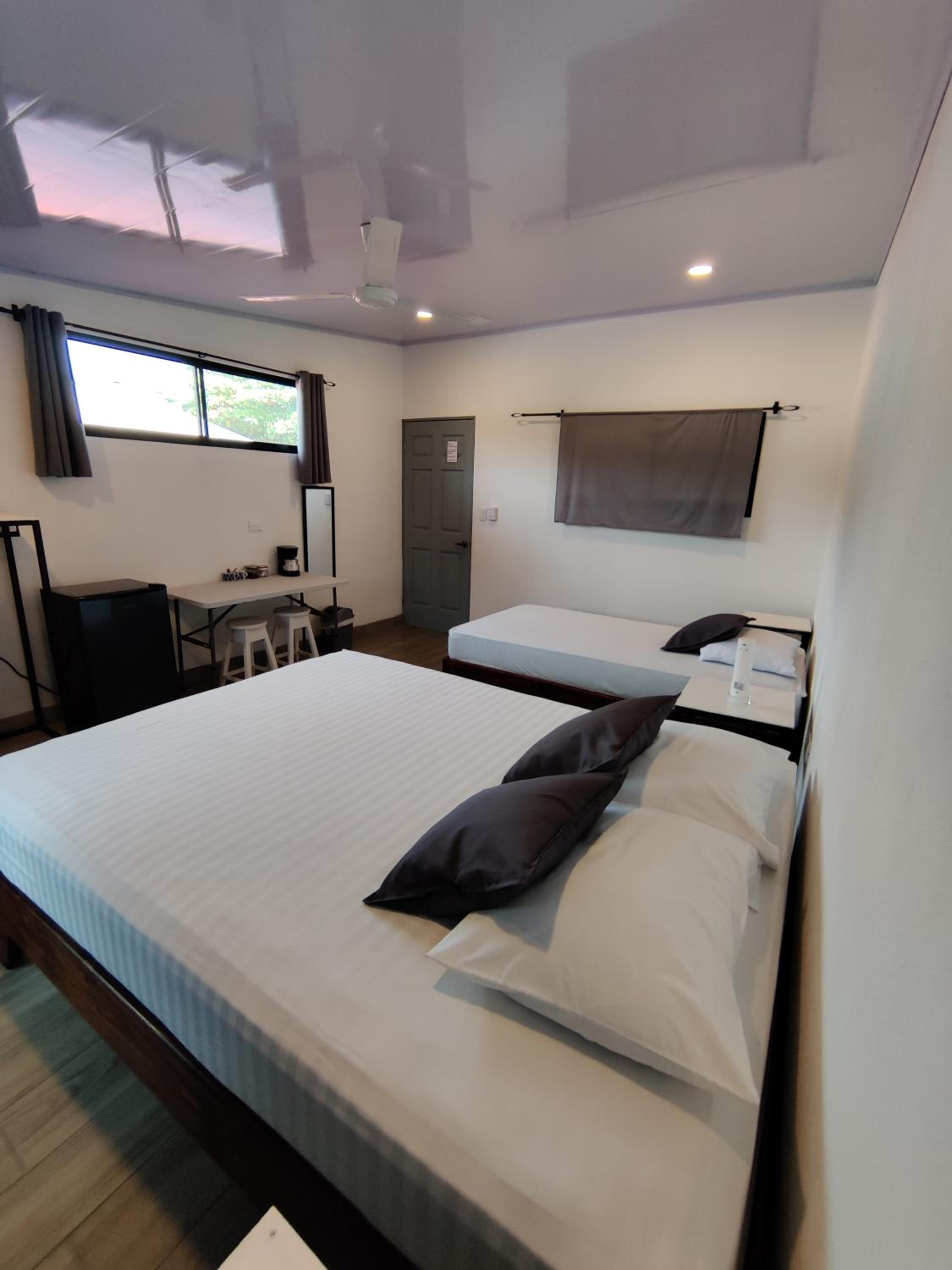Twin Room photo 3