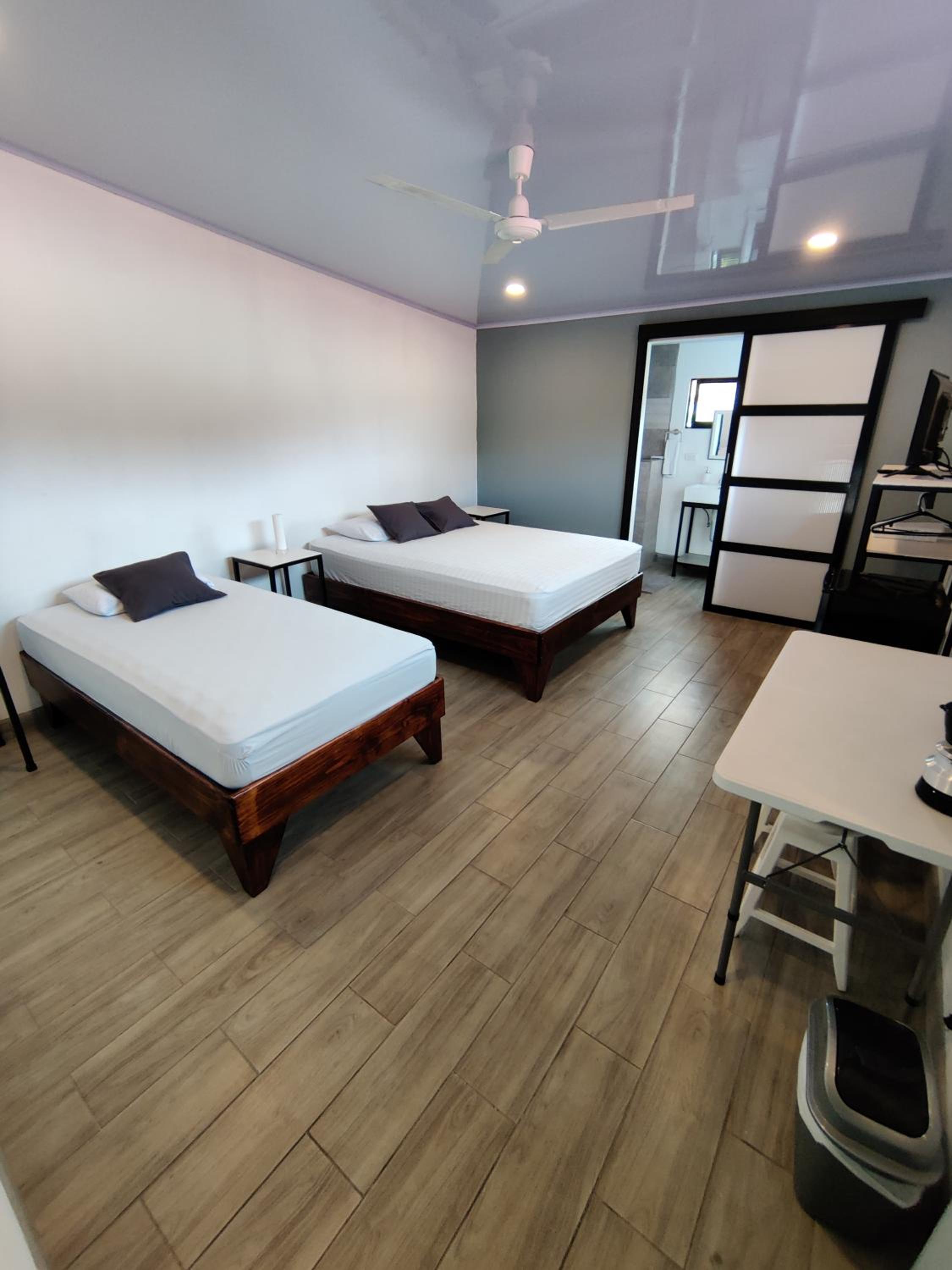 Twin Room photo 1