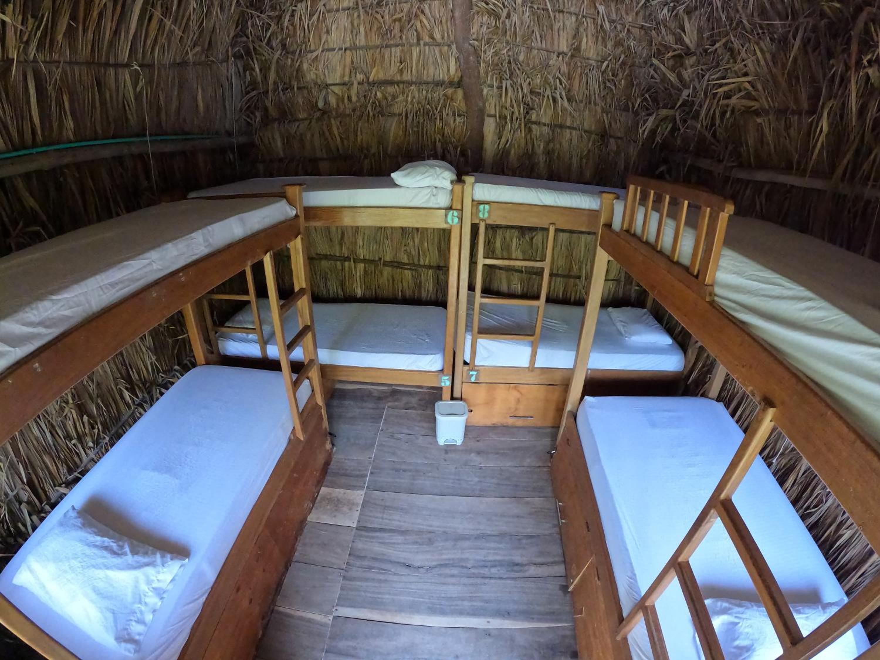 Single Bed in Mixed Dormitory Room photo 1