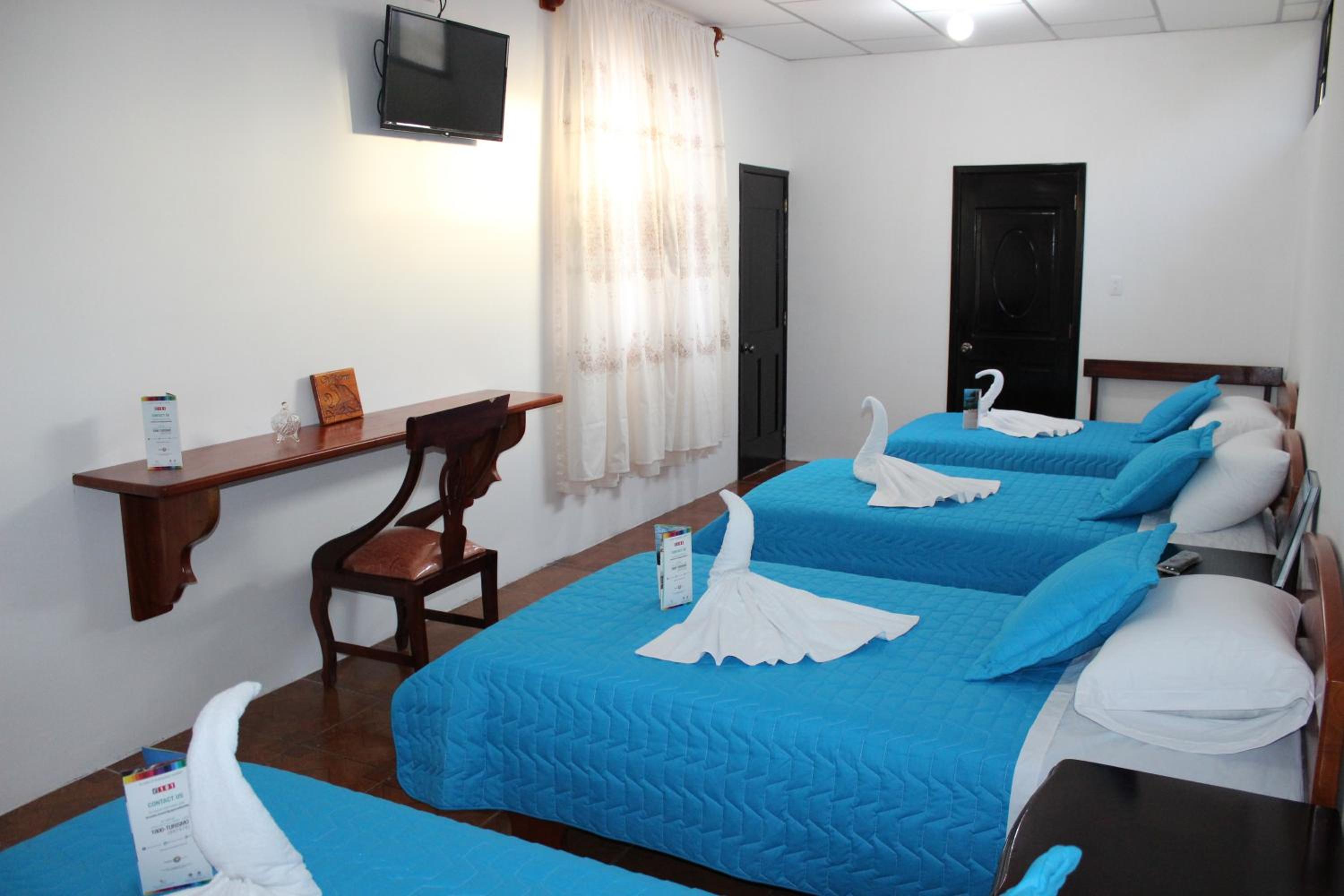 Single Bed in Mixed Dormitory Room photo 1