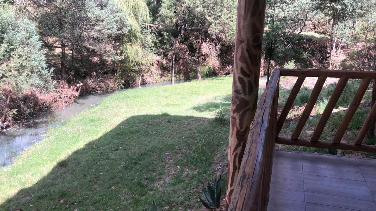 Bungalow - Water Front  - Photo 9