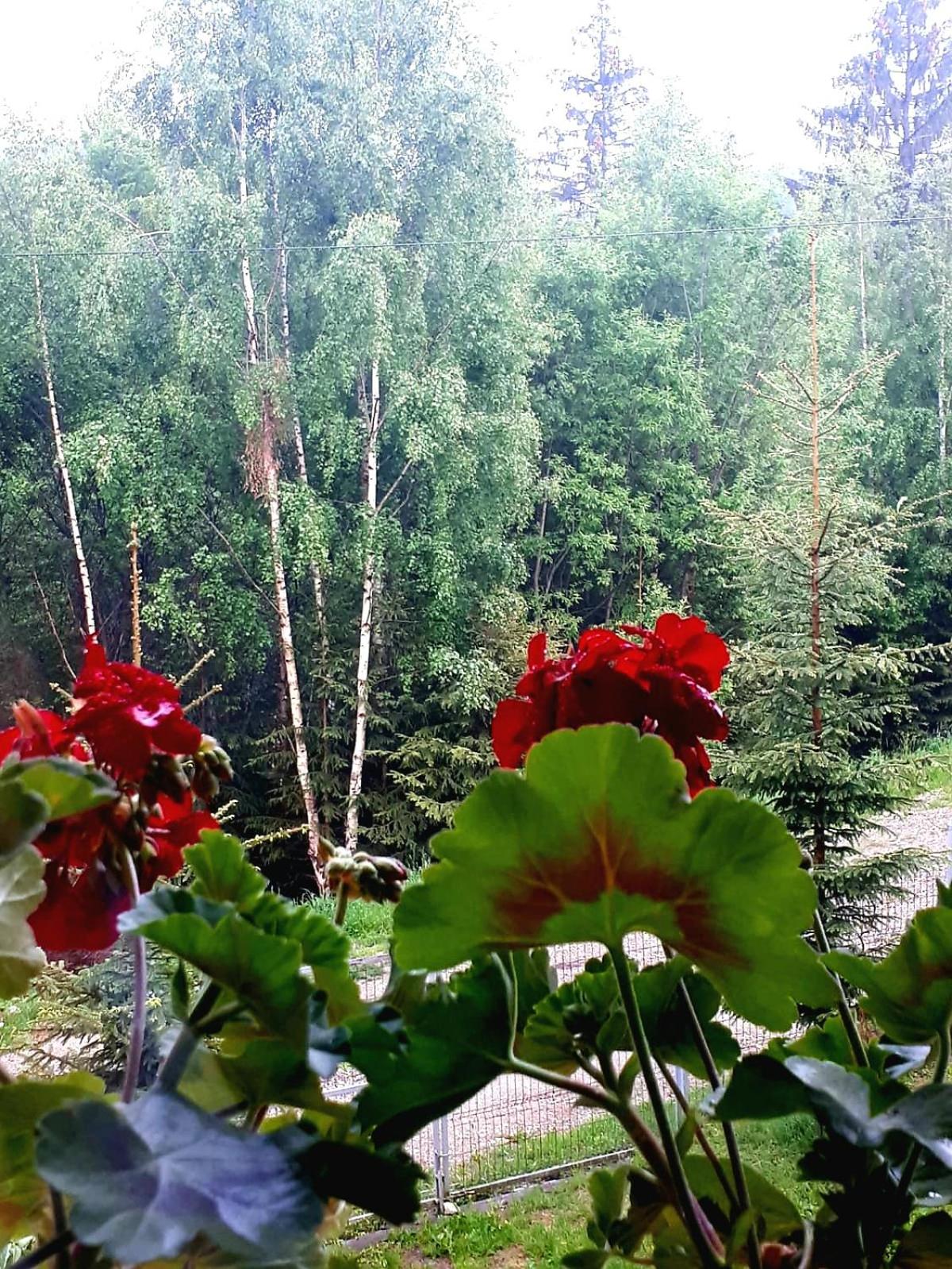 Villa - Photo 14