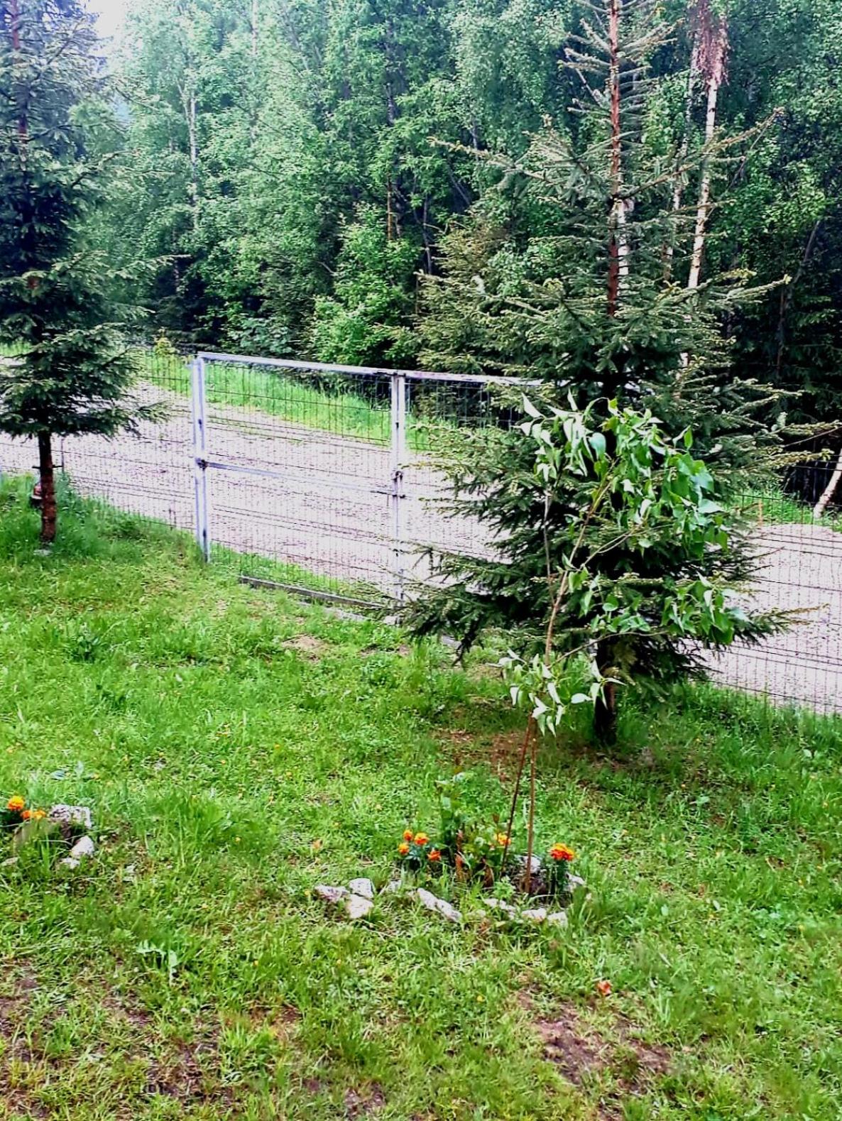 Villa - Photo 16