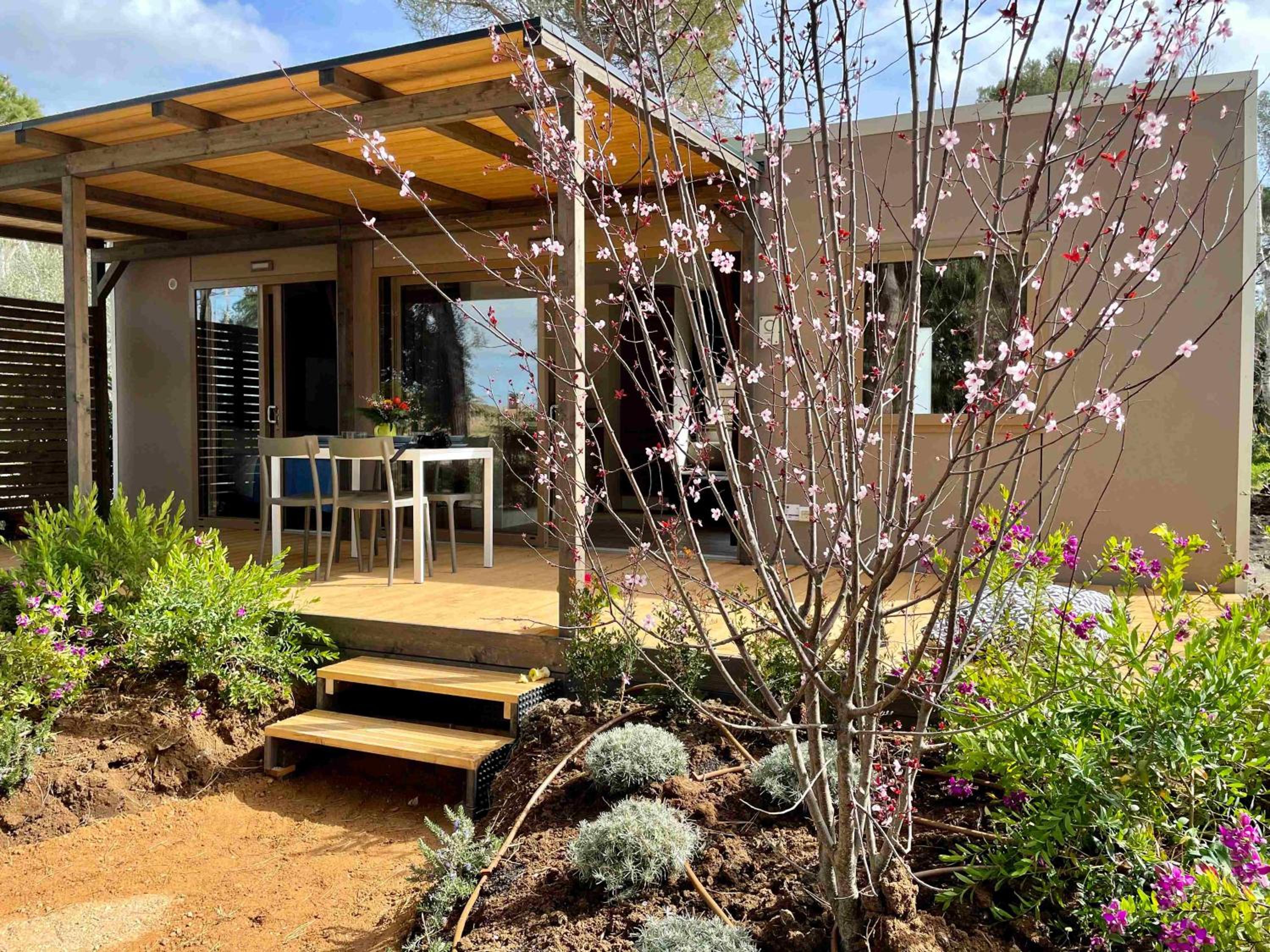 Mobile Home photo 3