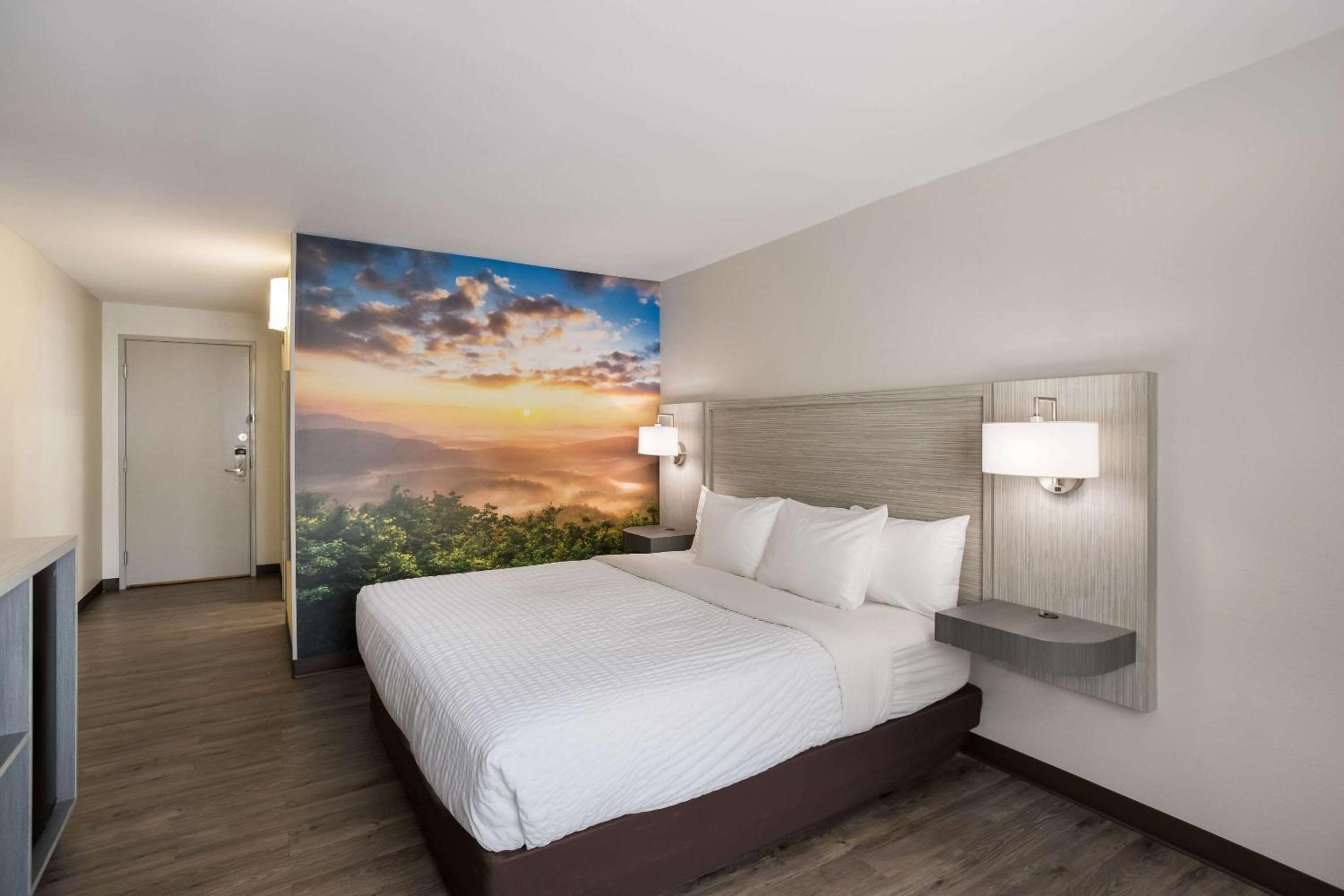 Queen Room - Disability Access photo 1