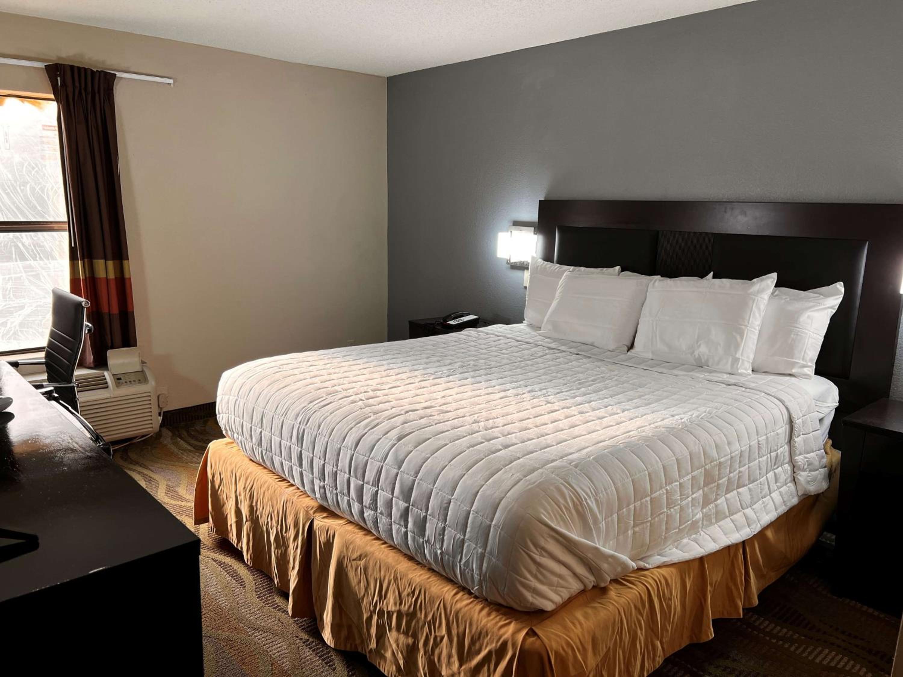 King Room - Photo 1