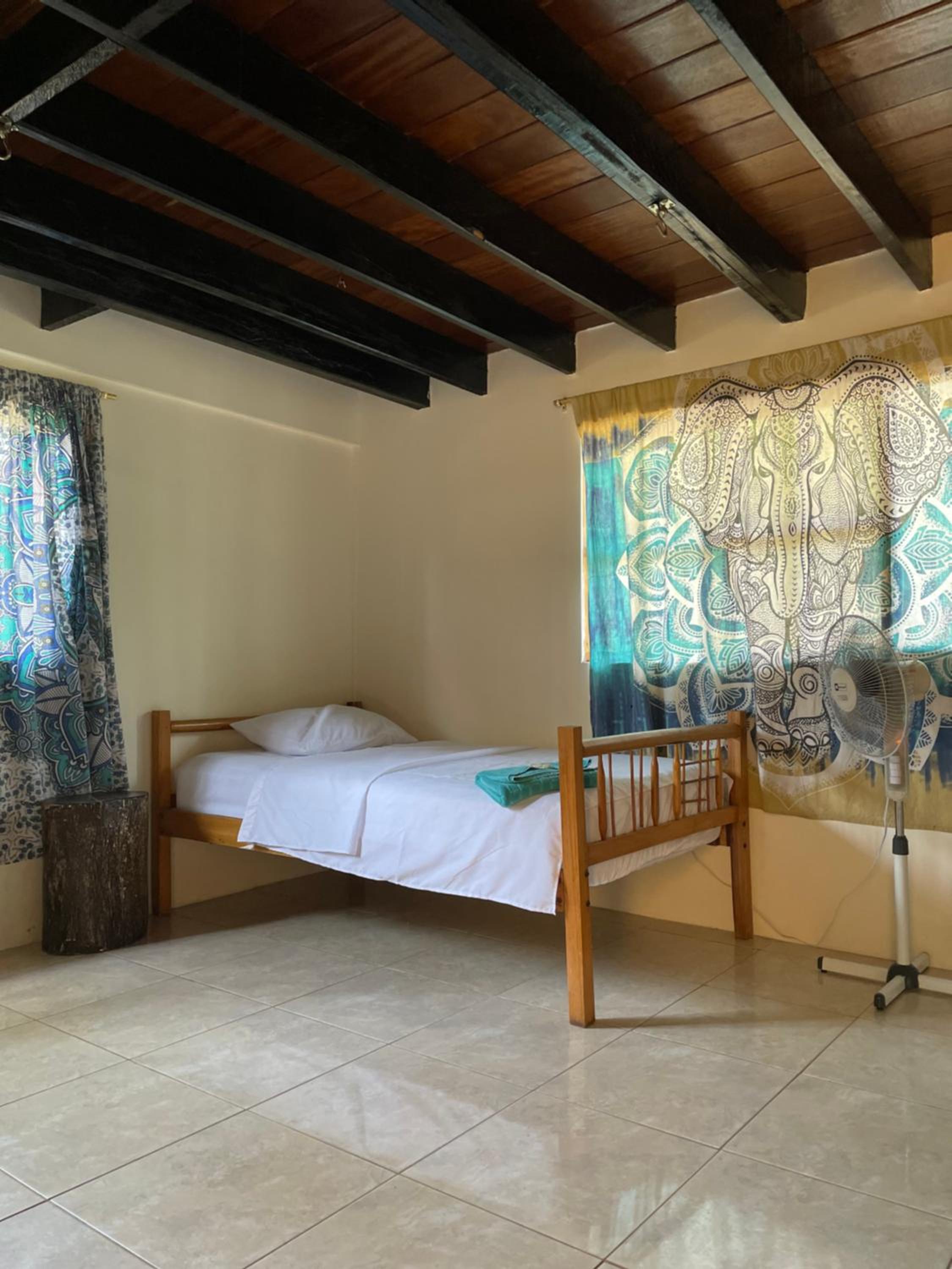 Single Bed in Mixed Dormitory Room photo 2