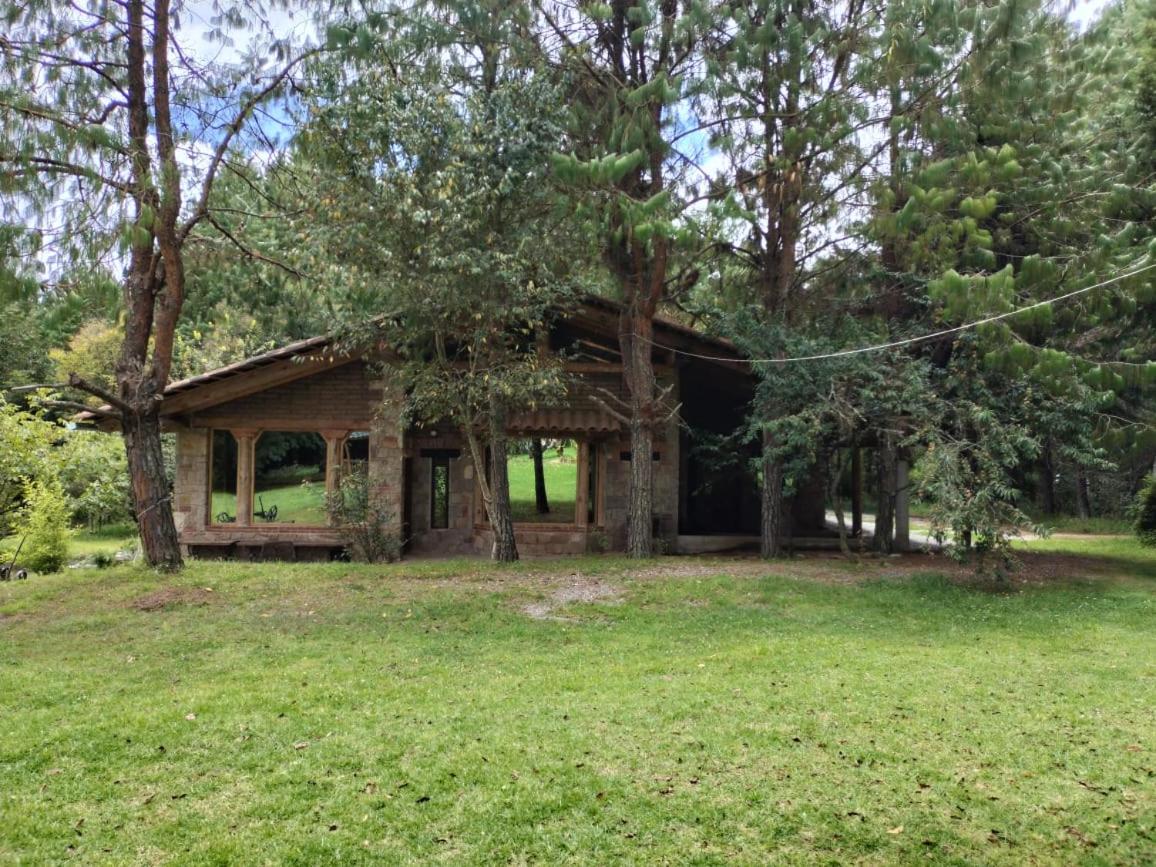Deluxe Bungalow with Garden View photo 3