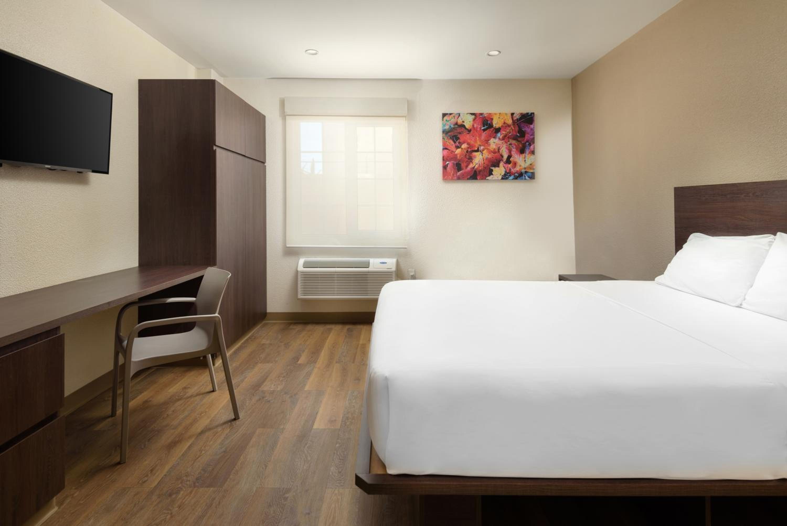 Suite - Photo 7