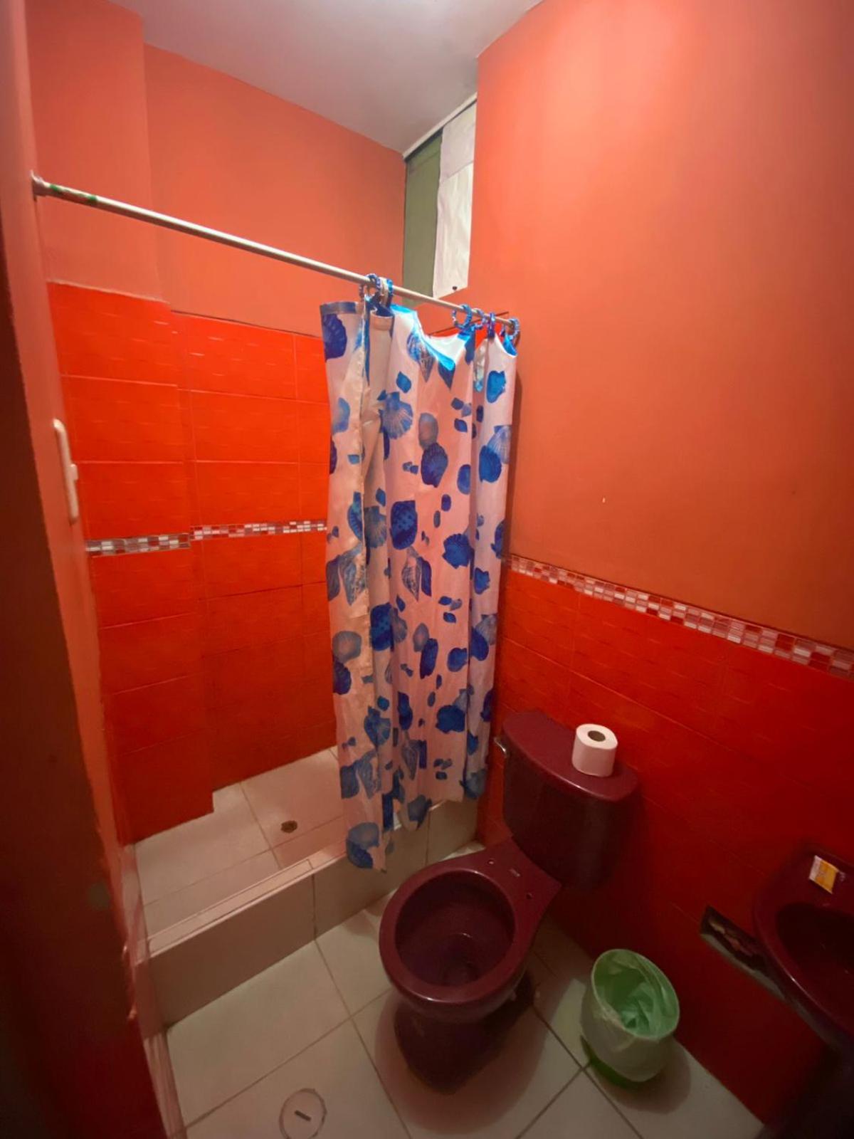 Budget Single Room photo 3
