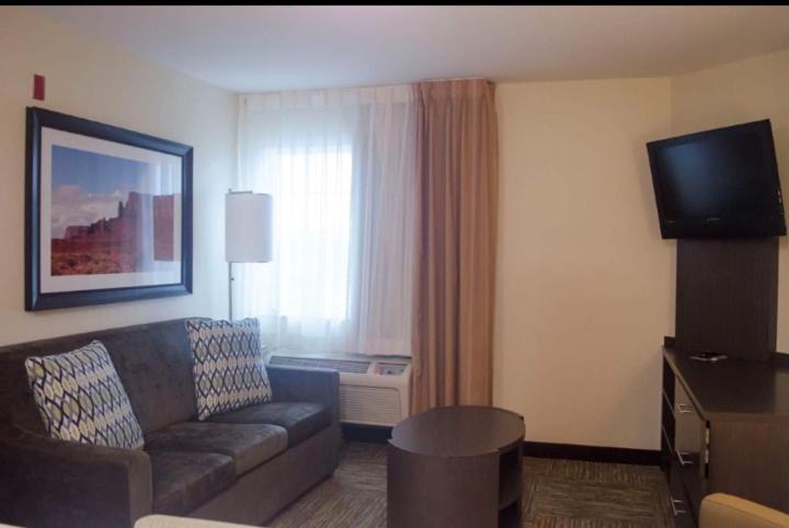 Studio Suite - Photo 2