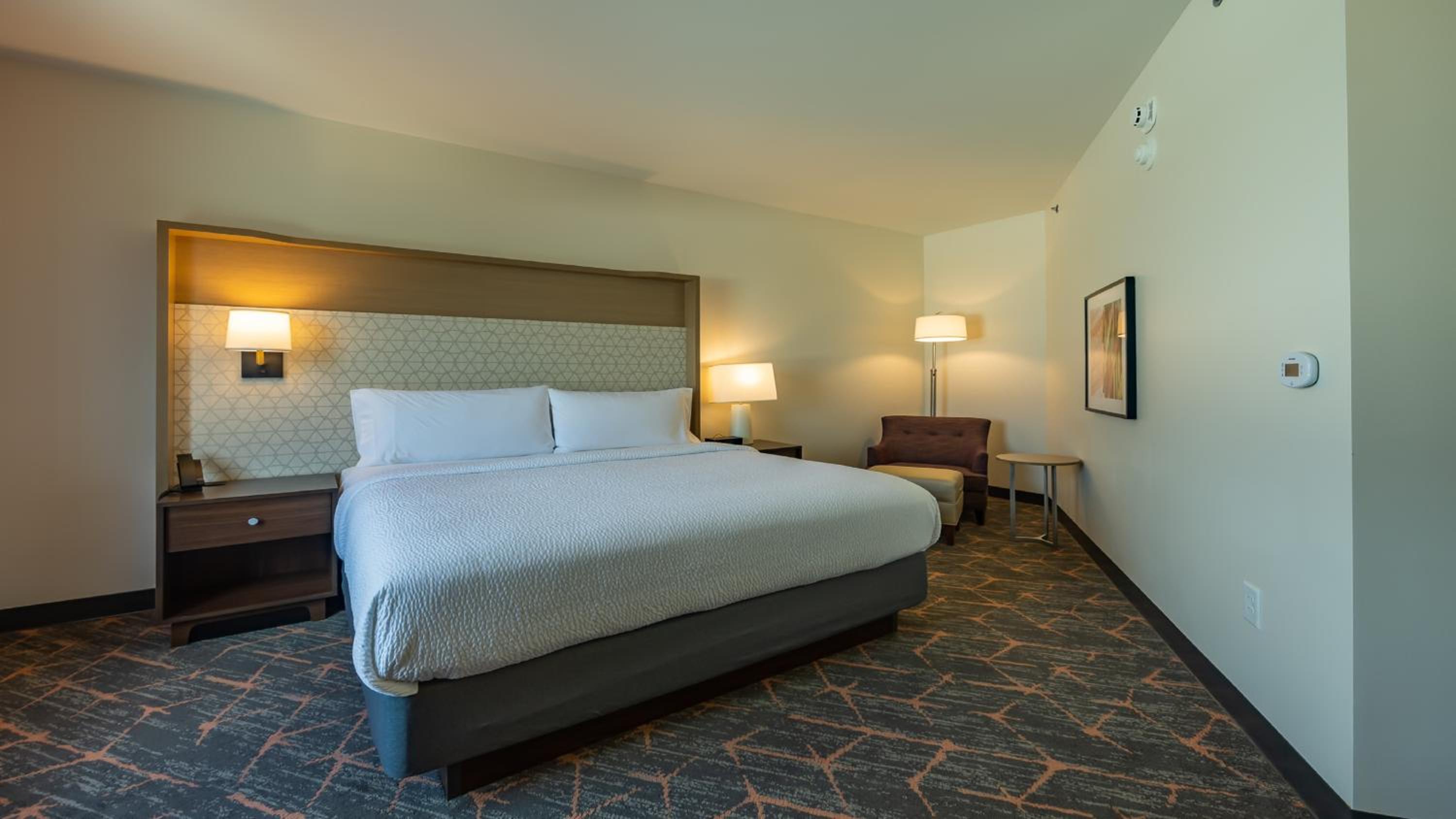 One-Bedroom King Suite with Sofa Bed 