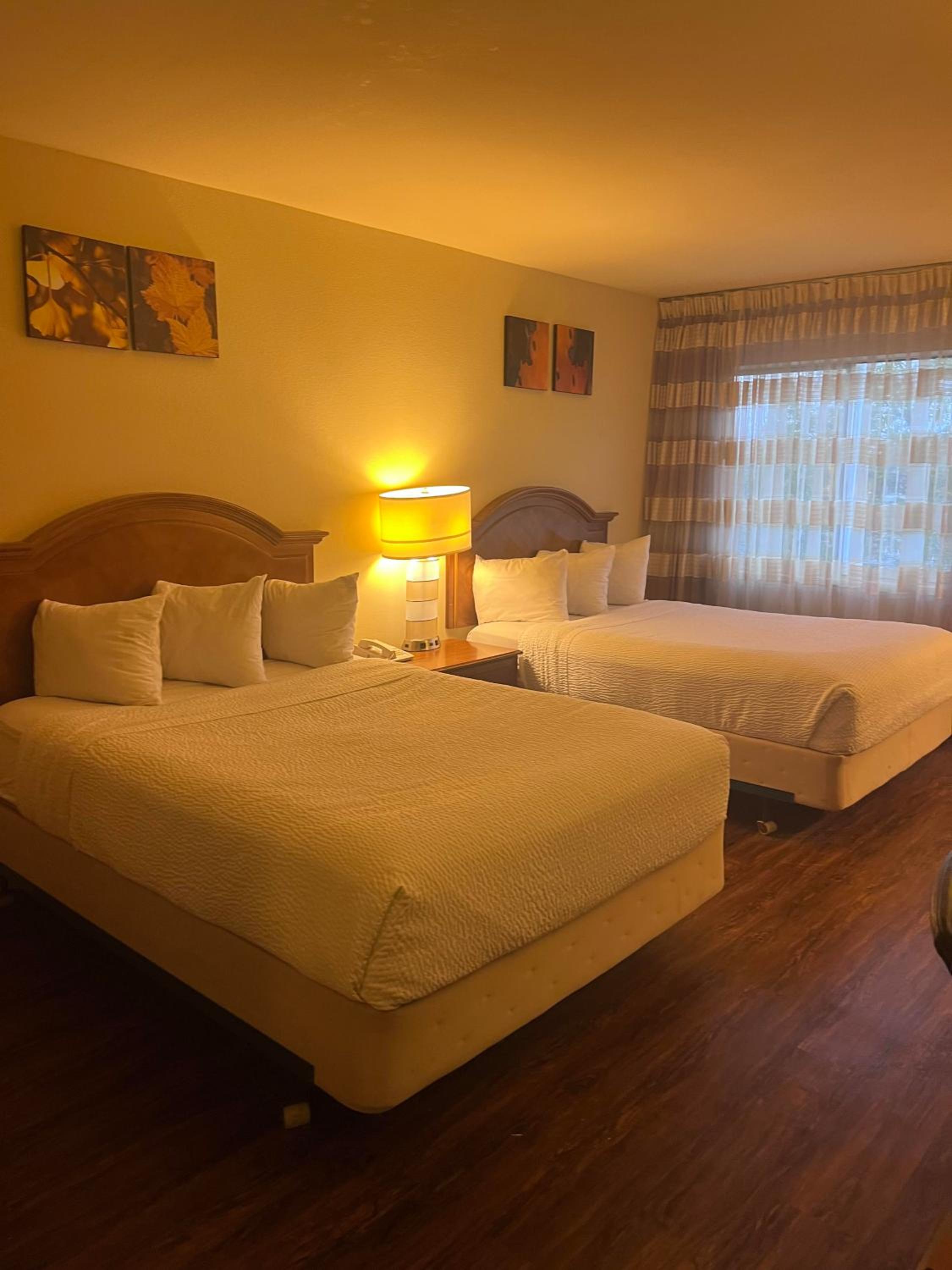 Double Room with Two Double Beds - Non-Smoking - Photo 1
