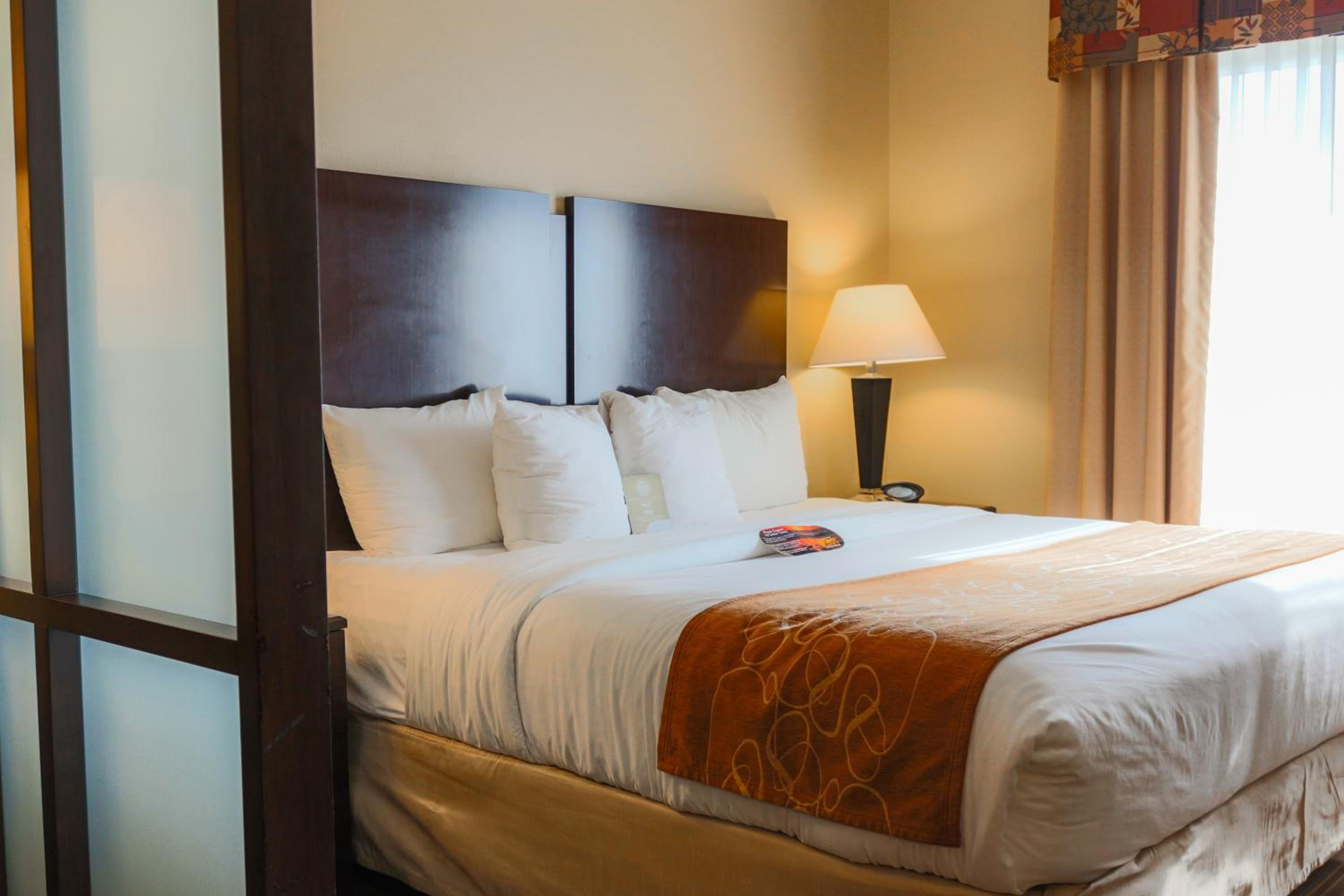 King Suite with Sofabed - Accessible/Non-Smoking