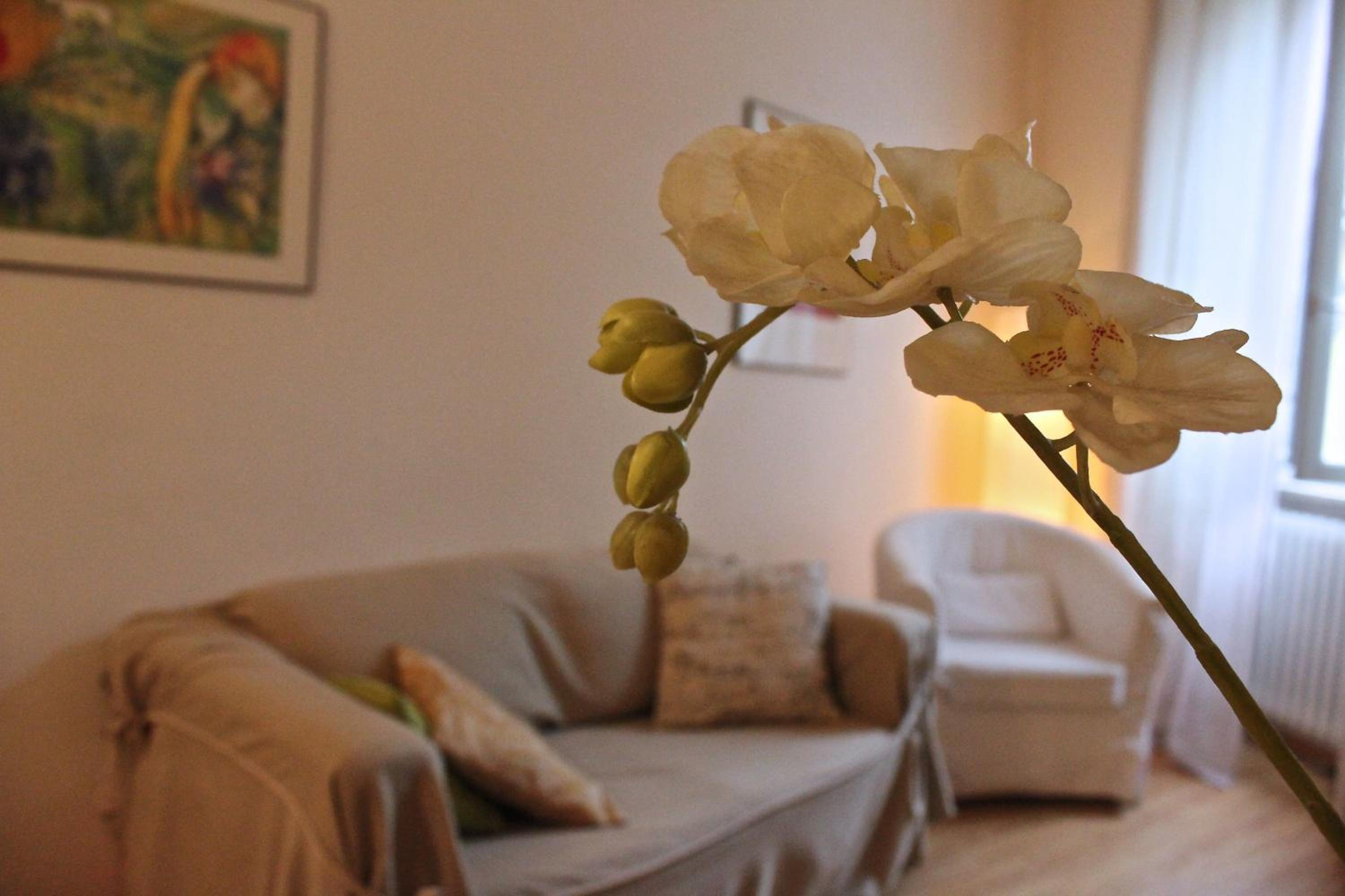  Two-Bedroom Apartment with Private Terrace (3 Adults)  photo 2