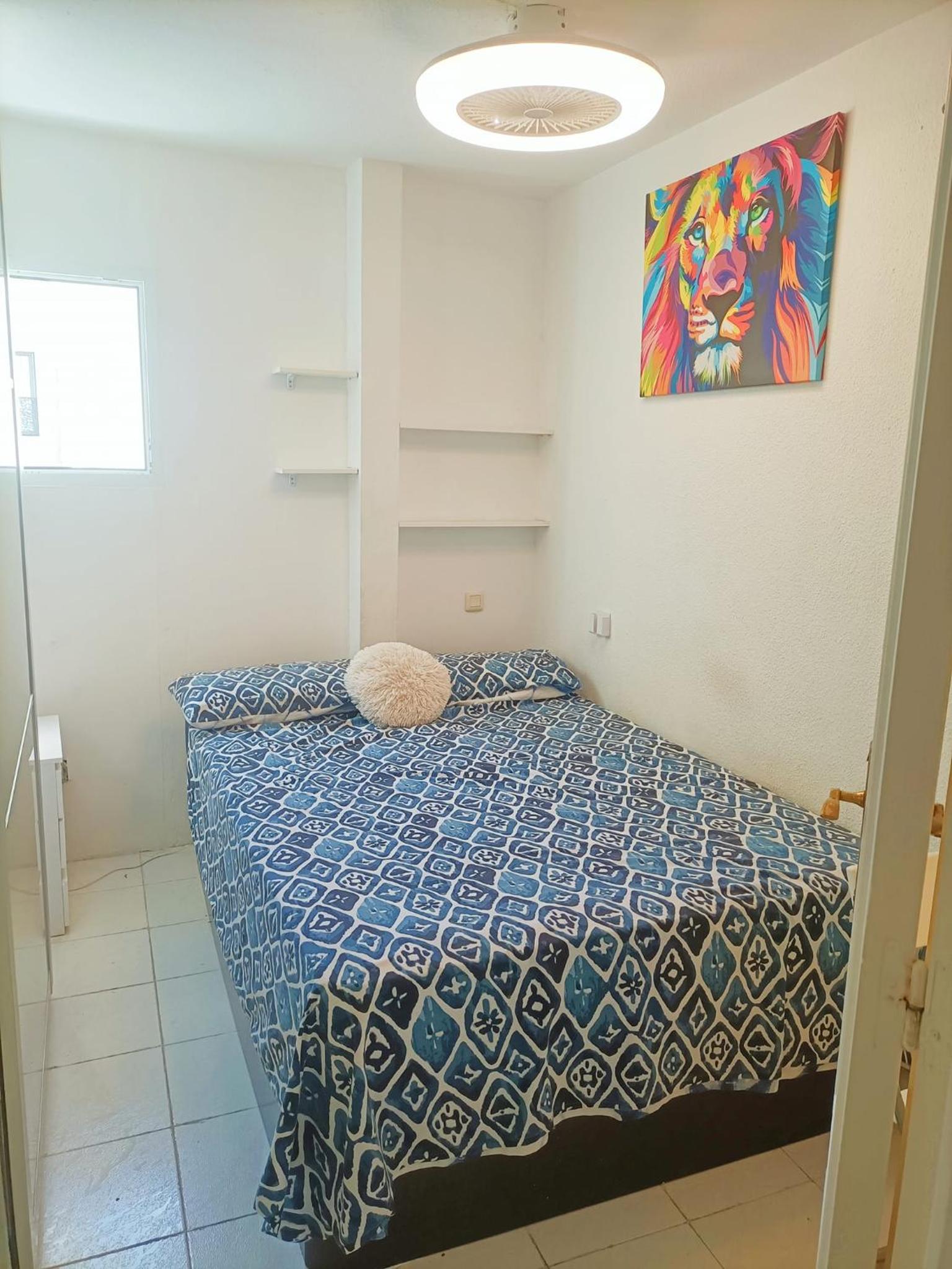 Habitación Individual Estándar