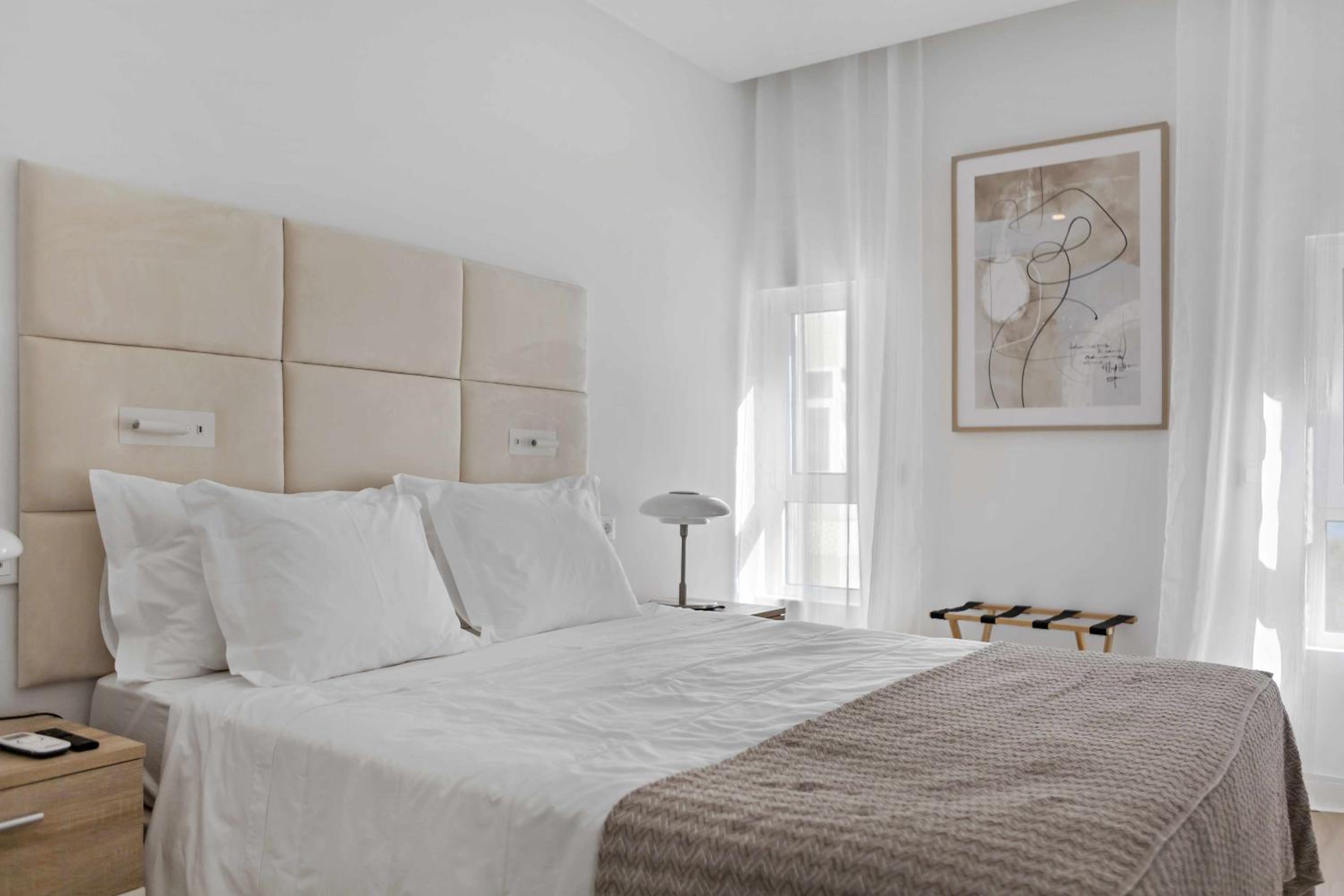 One-Bedroom Apartment photo 2