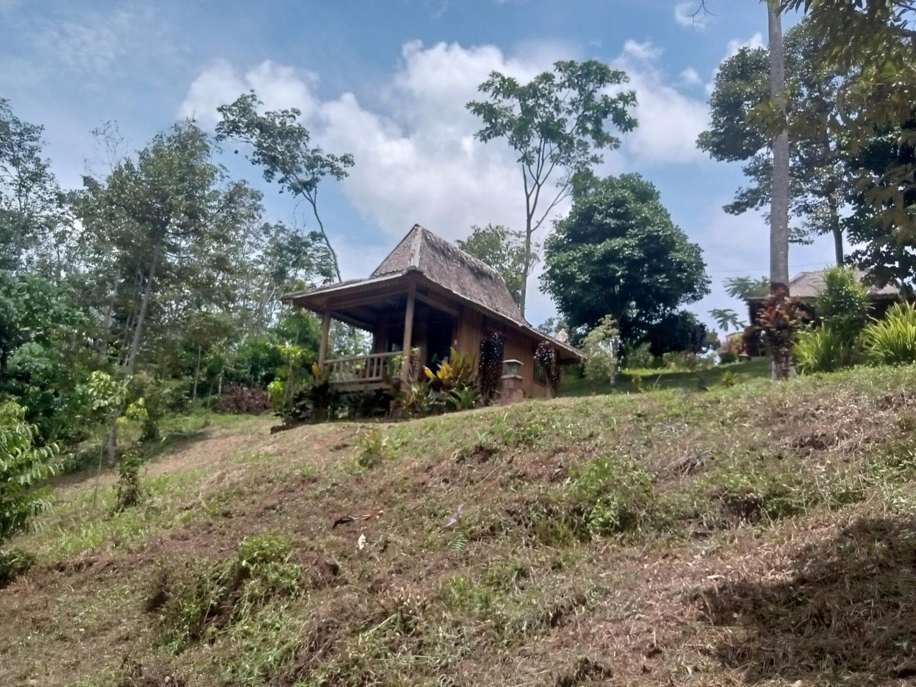 Deluxe Bungalow with Garden View - Photo 7