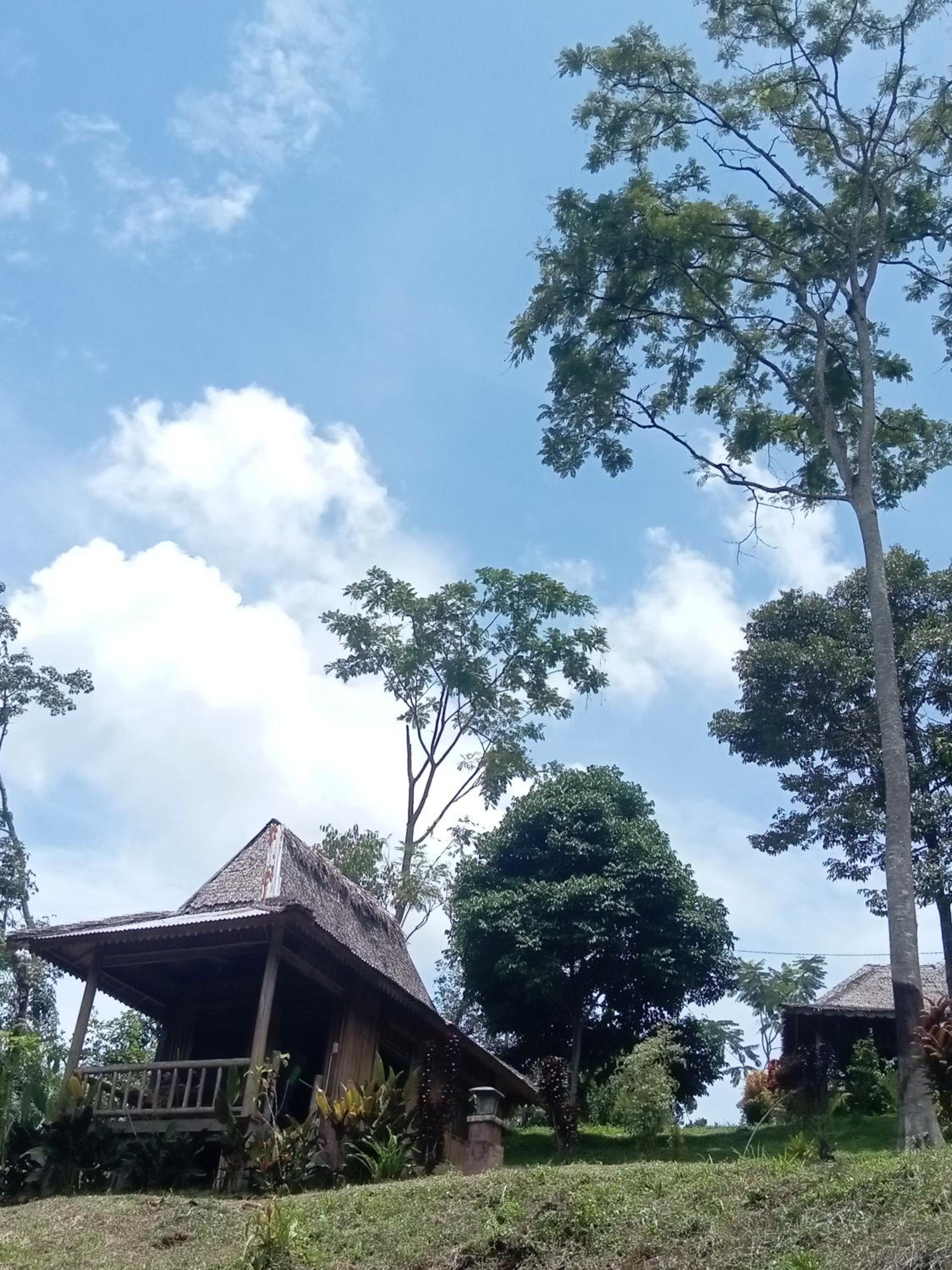 Deluxe Bungalow with Garden View - Photo 12