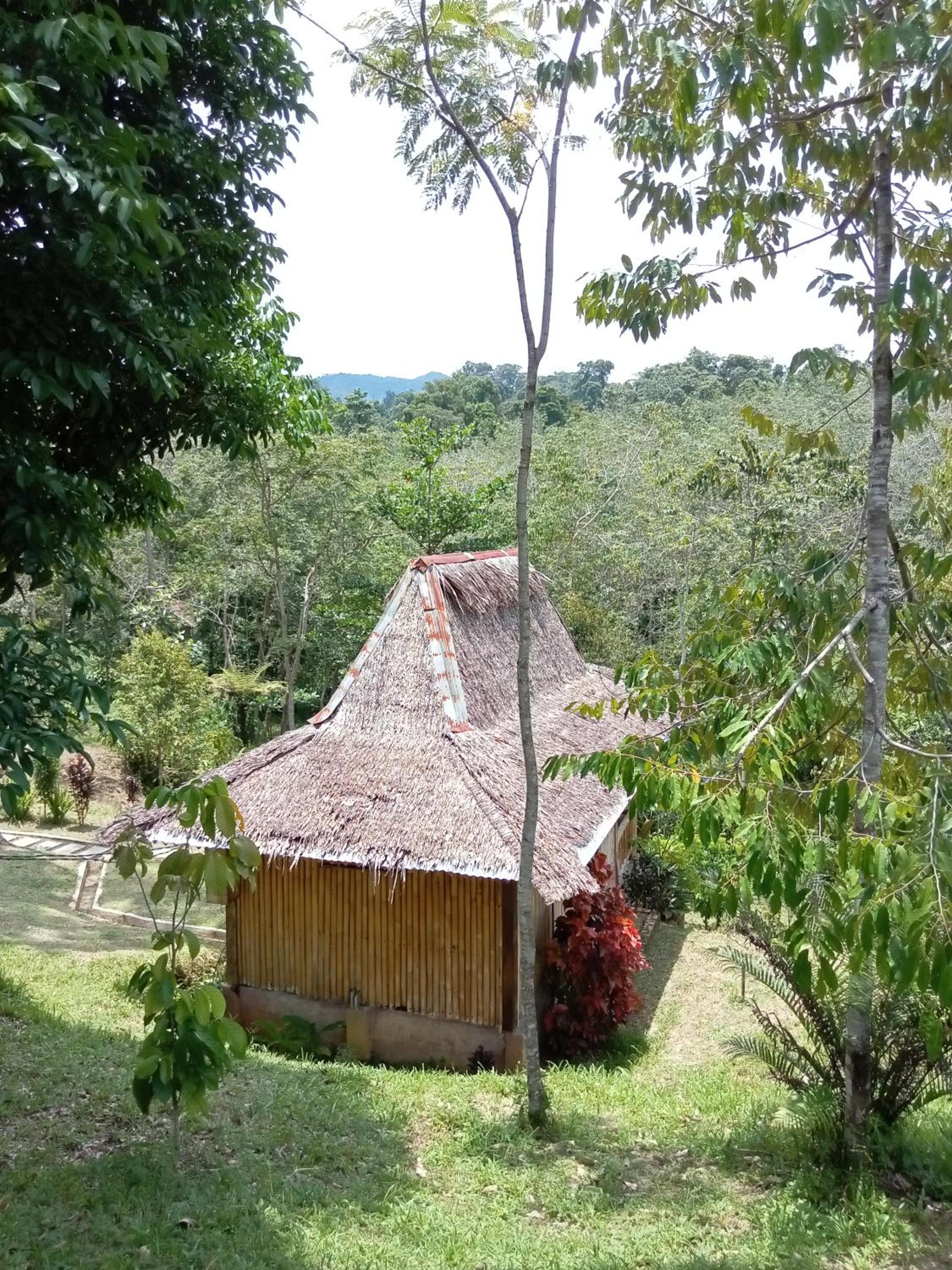 Deluxe Bungalow with Garden View - Photo 9