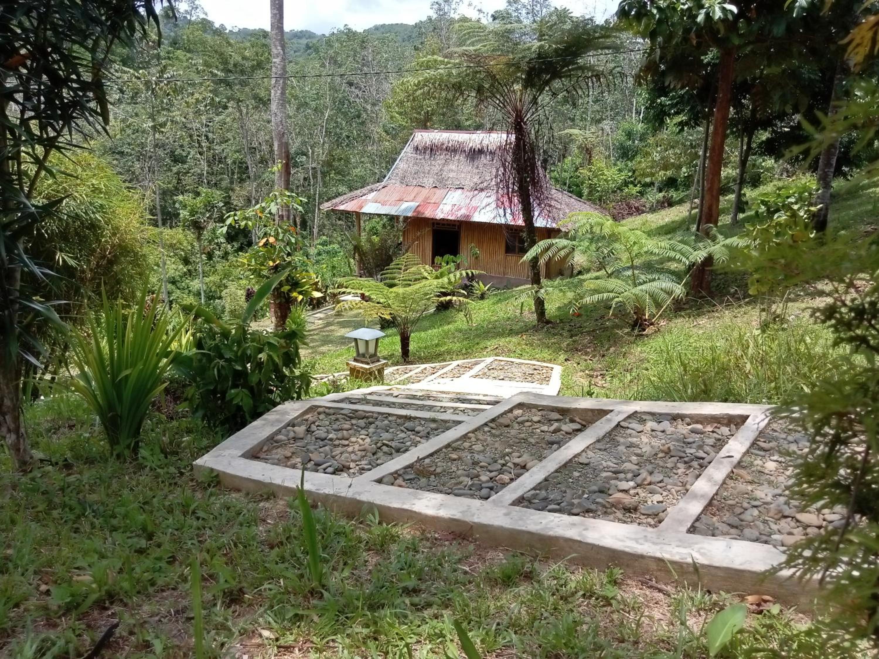 Deluxe Bungalow with Garden View - Photo 11