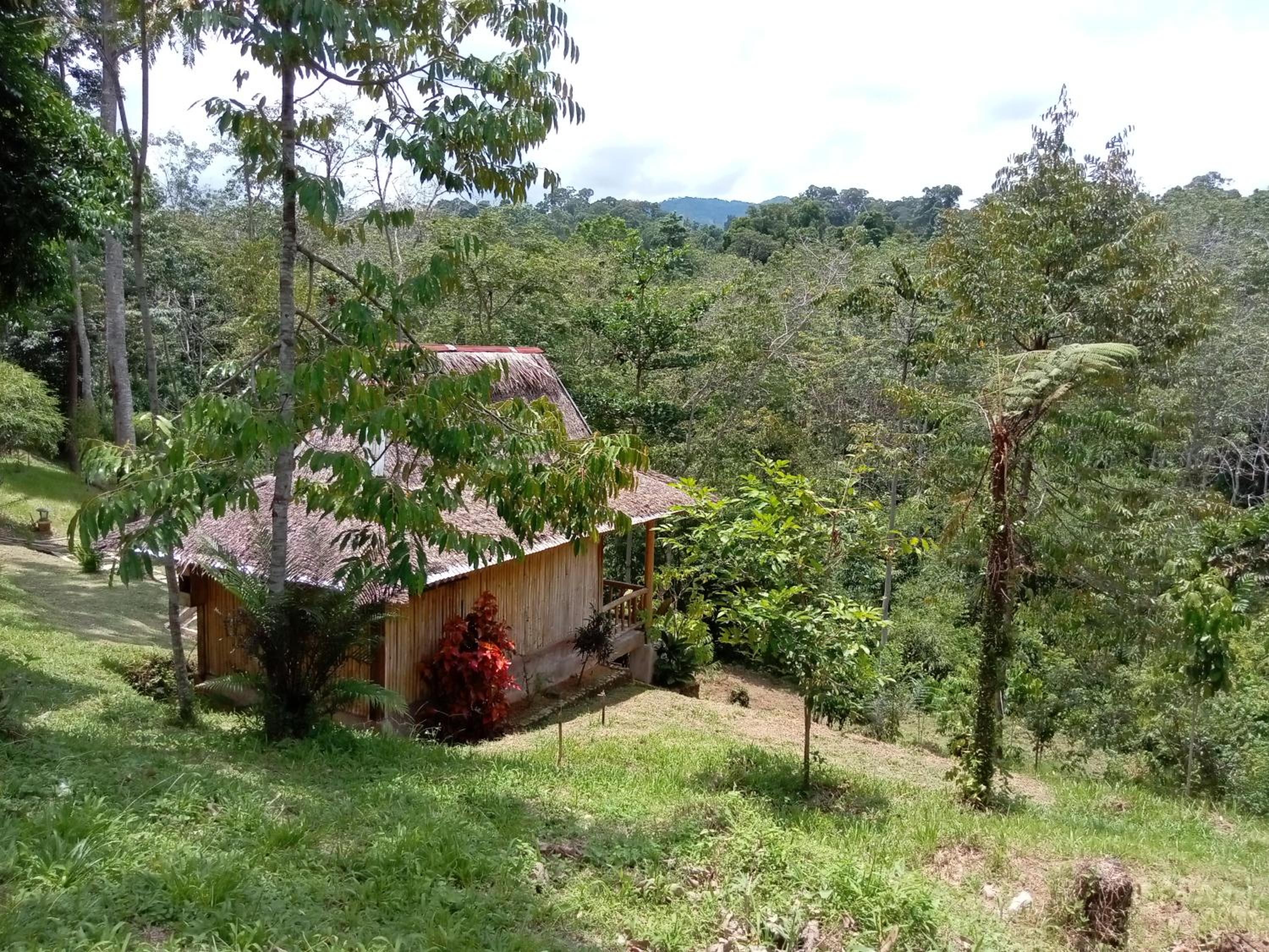 Deluxe Bungalow with Garden View - Photo 10