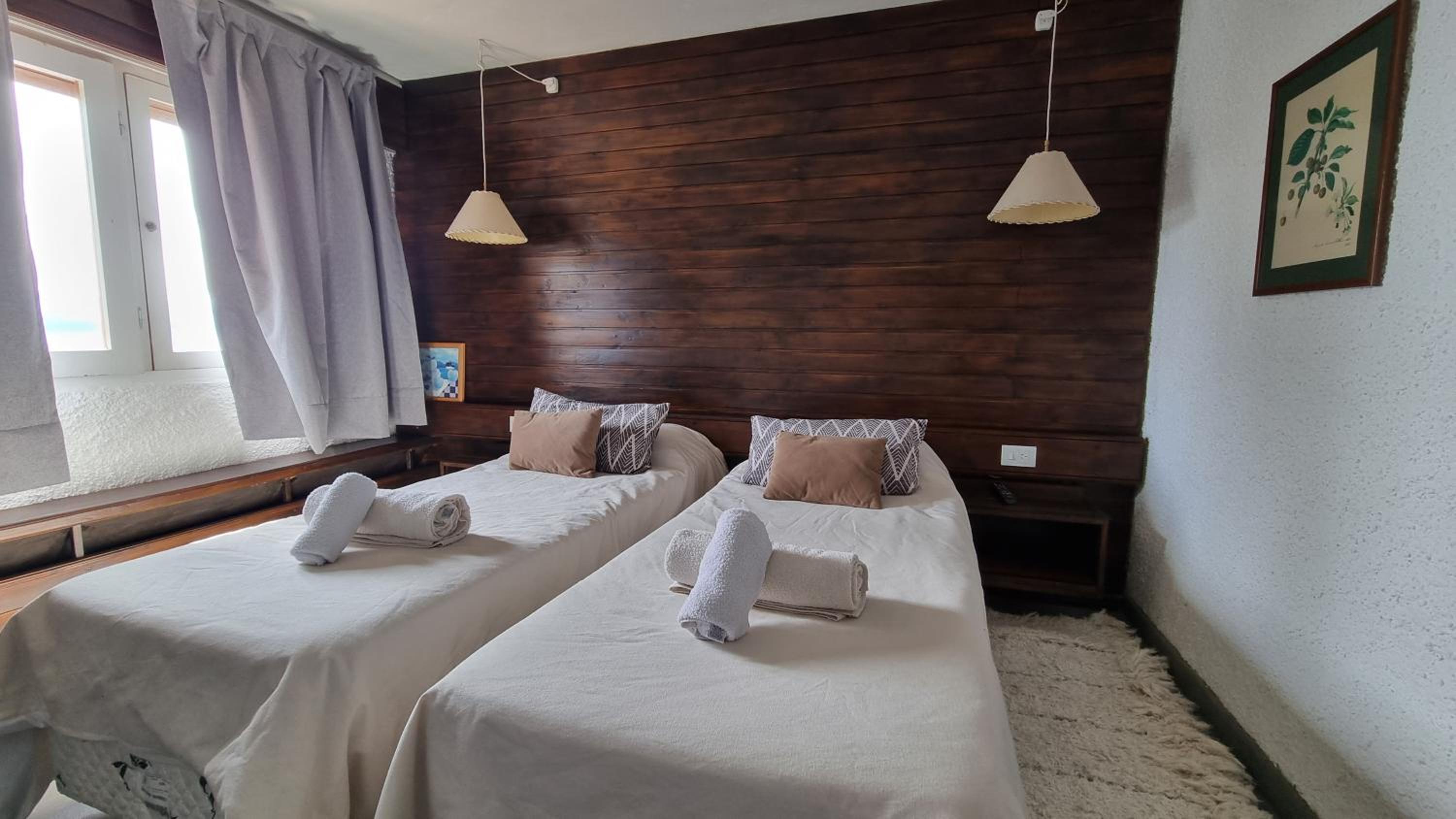 Twin Room photo 2