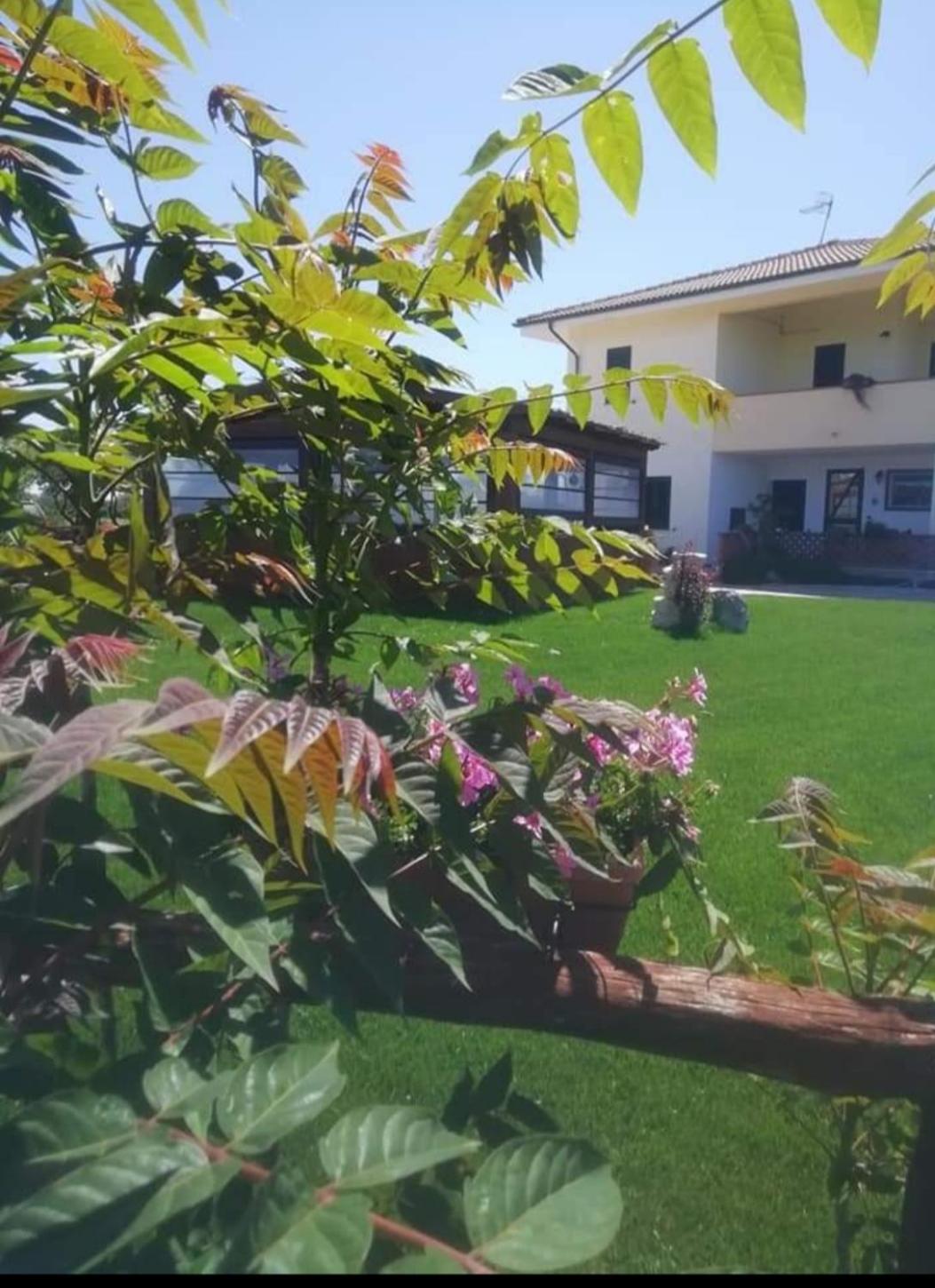 Double Room With Balcony photo 2