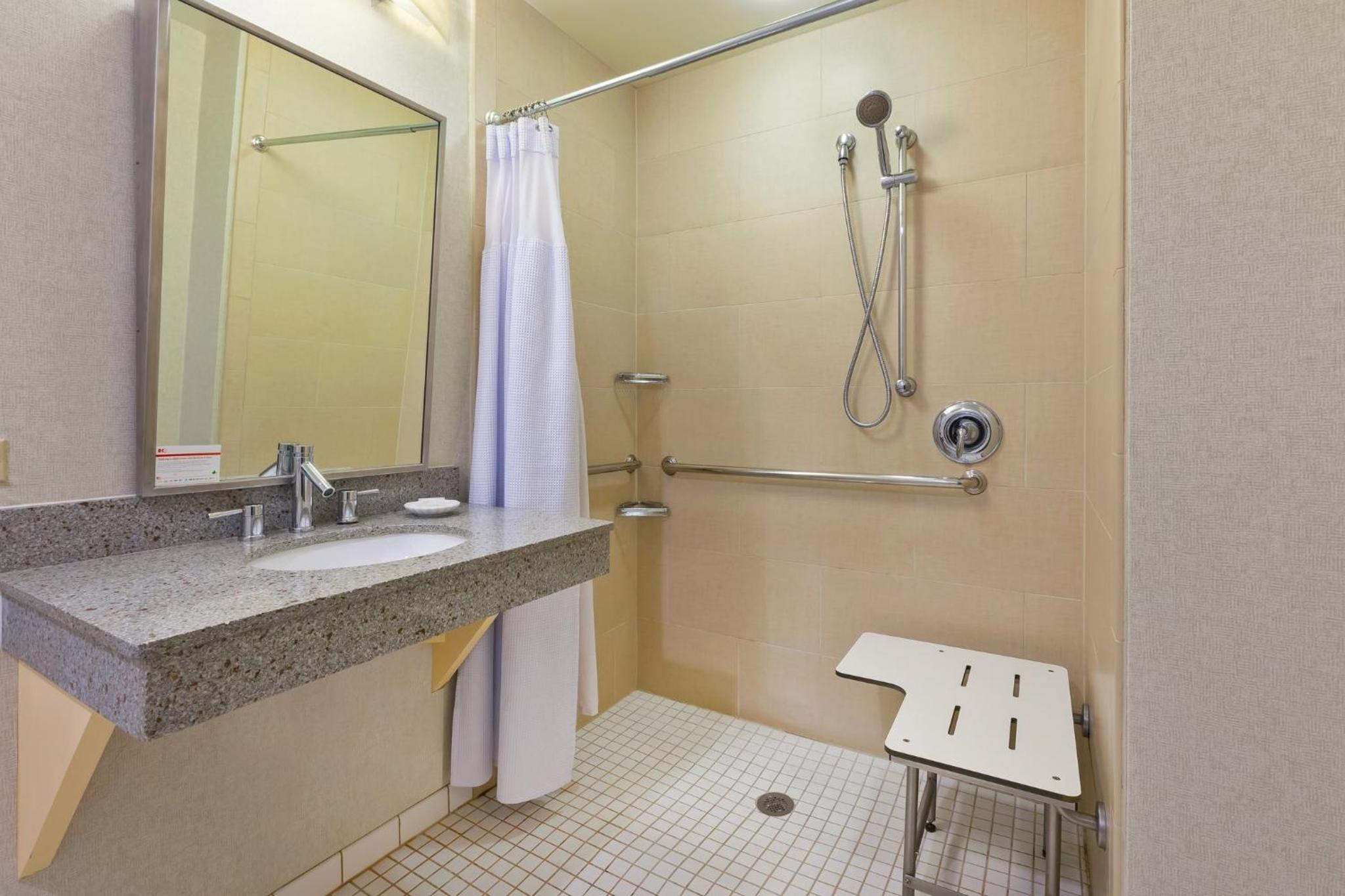 King Room - Hearing Accessible - Roll-in Shower - Photo 6