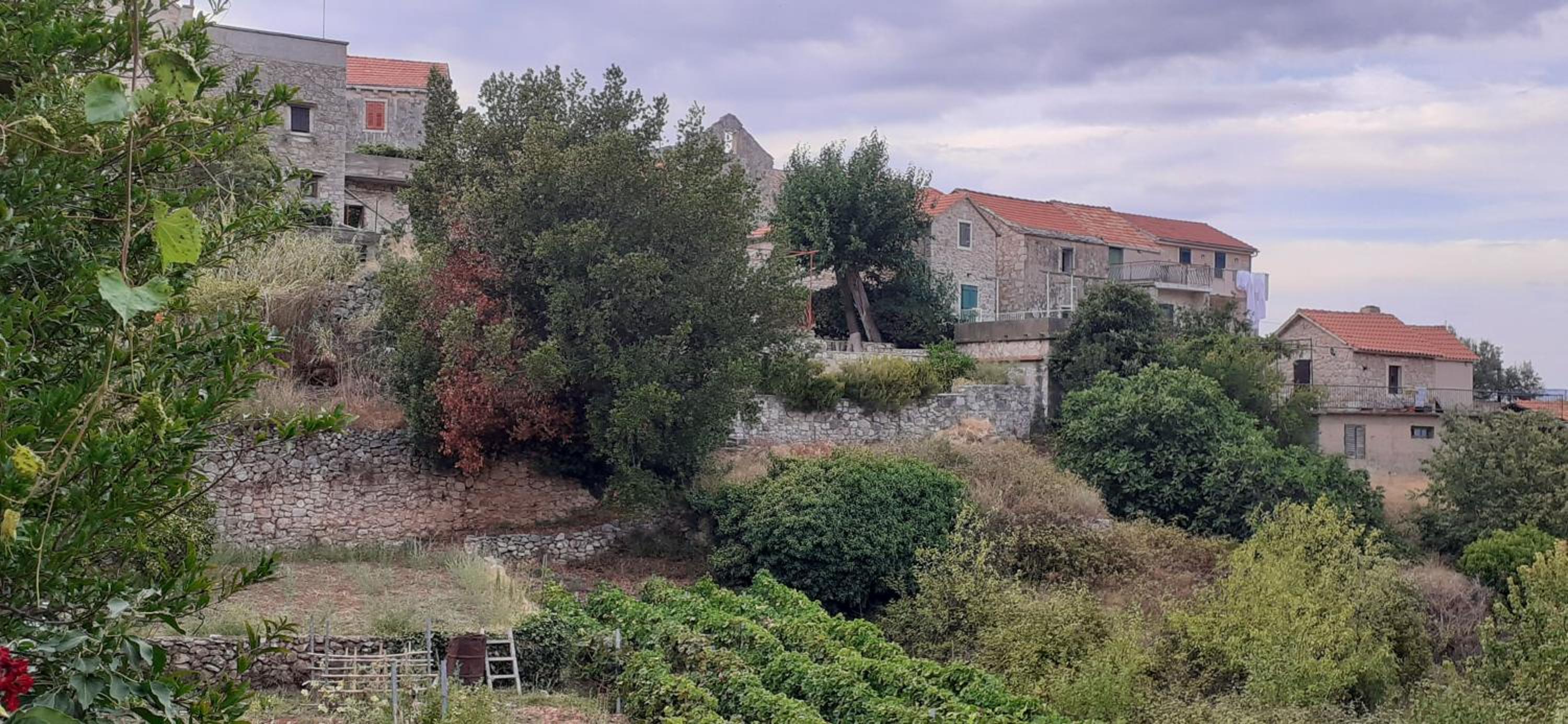 Apartment with Garden View - Photo 19