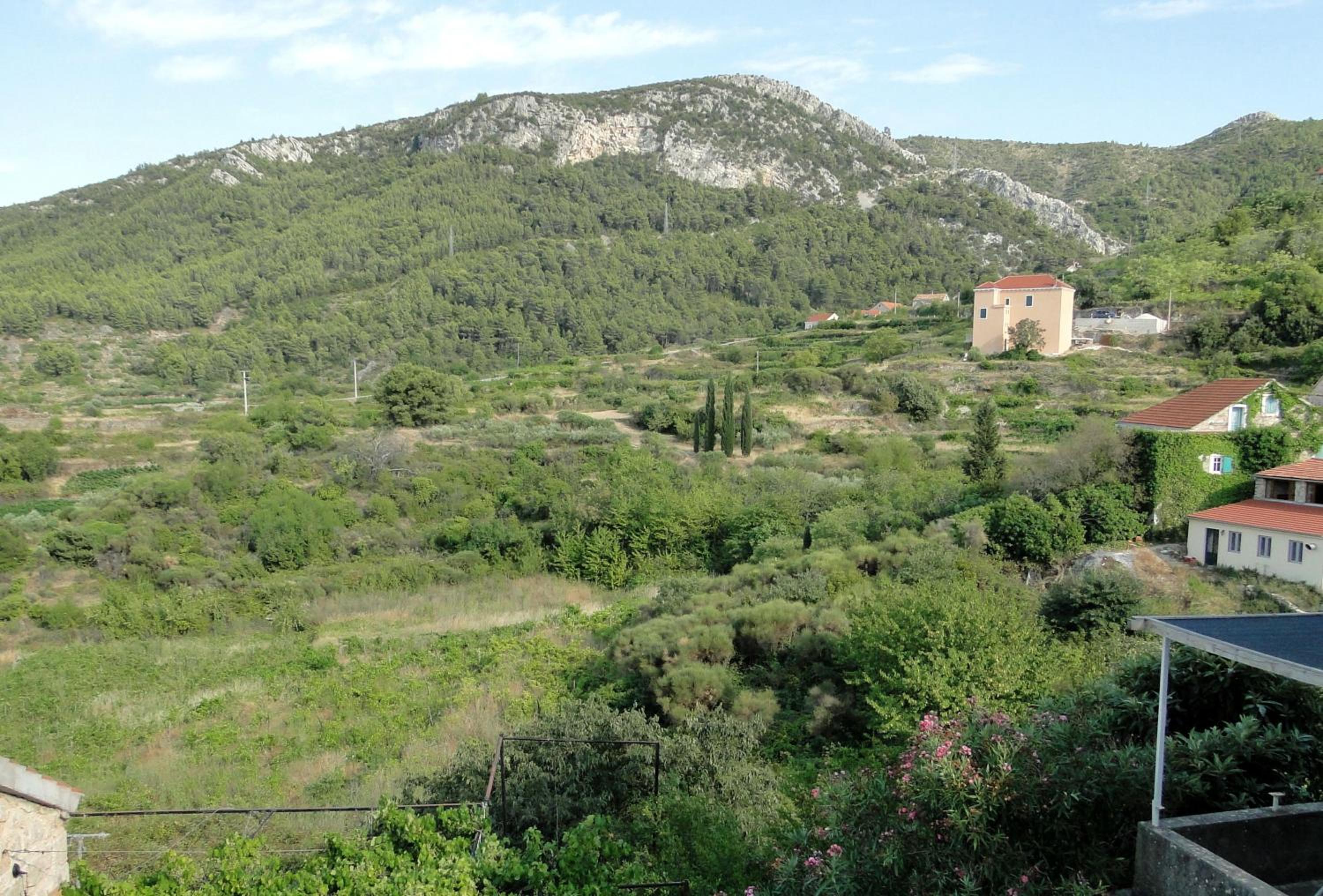 Apartment with Garden View - Photo 24