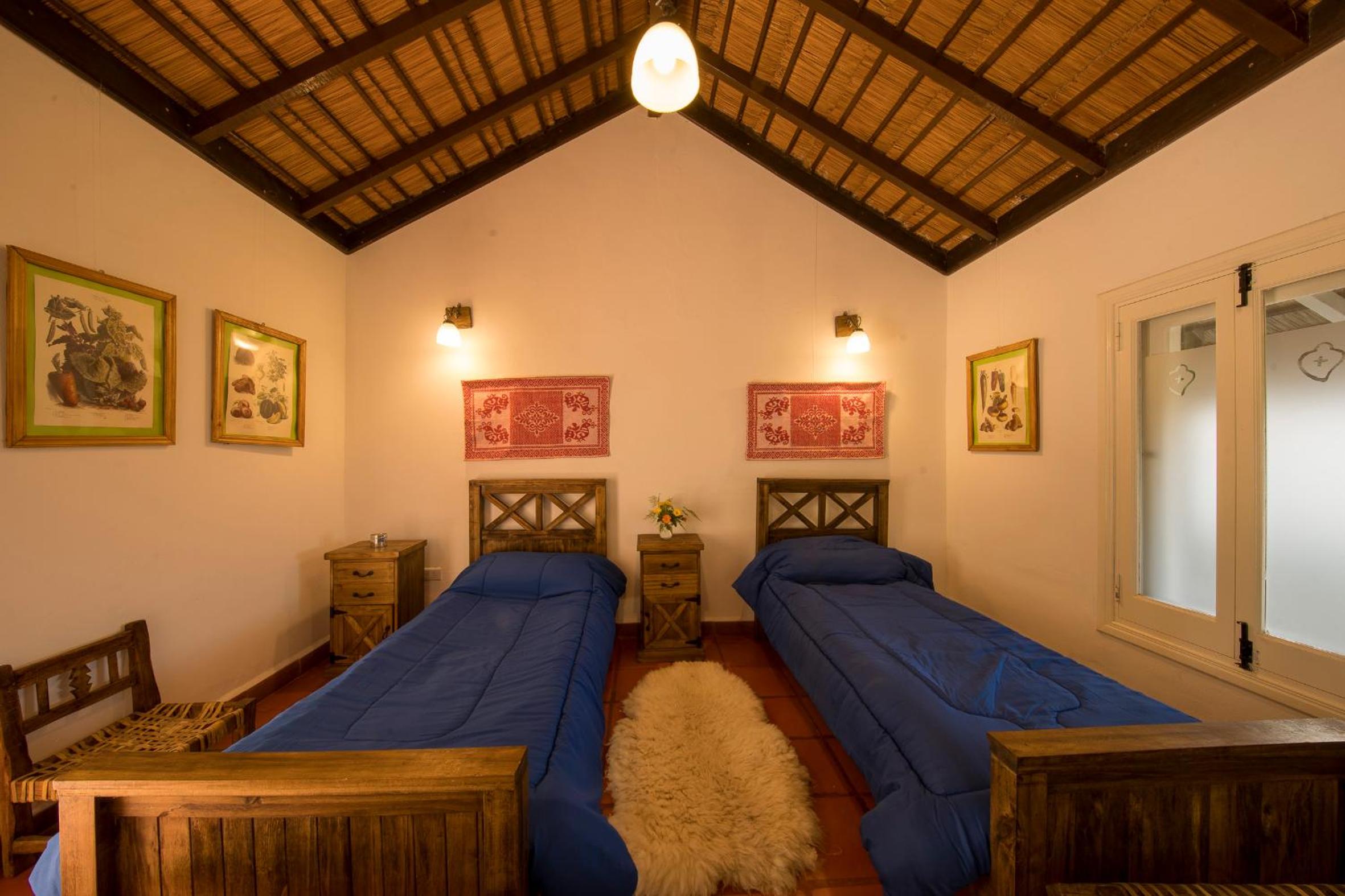 Single Room photo 2