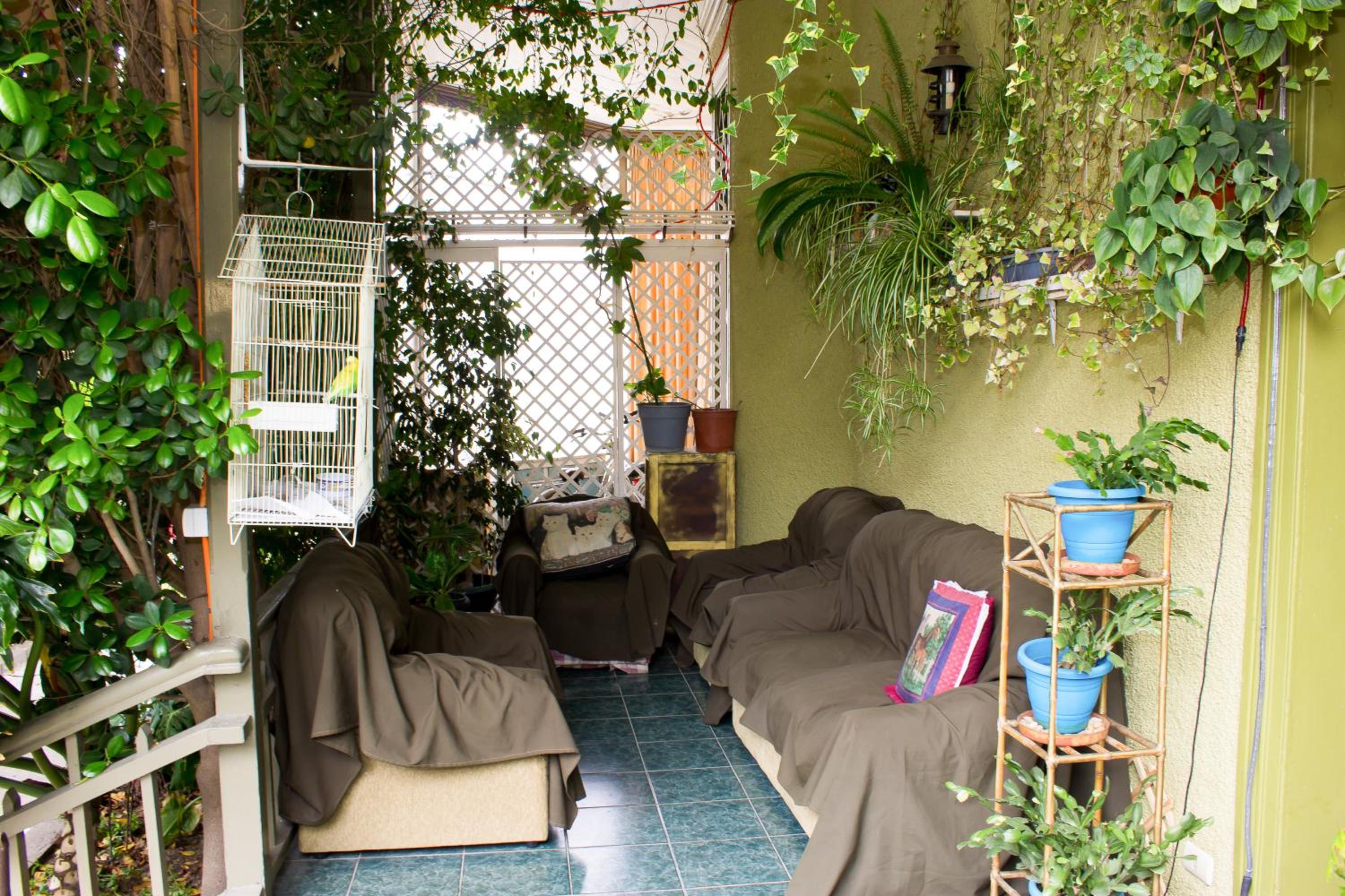 Triple Room 3 Beds photo 3