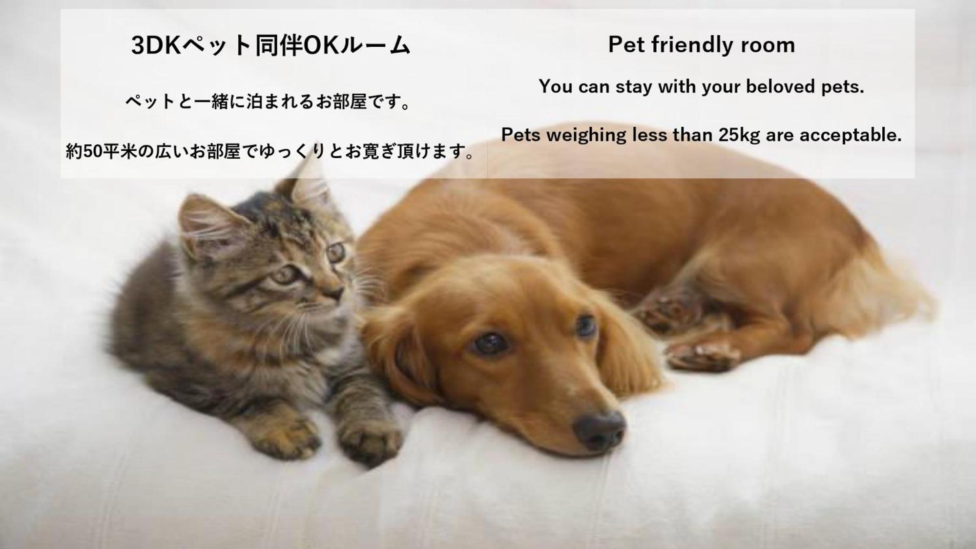 Superior Family Room - Pet Friendly - Photo 2