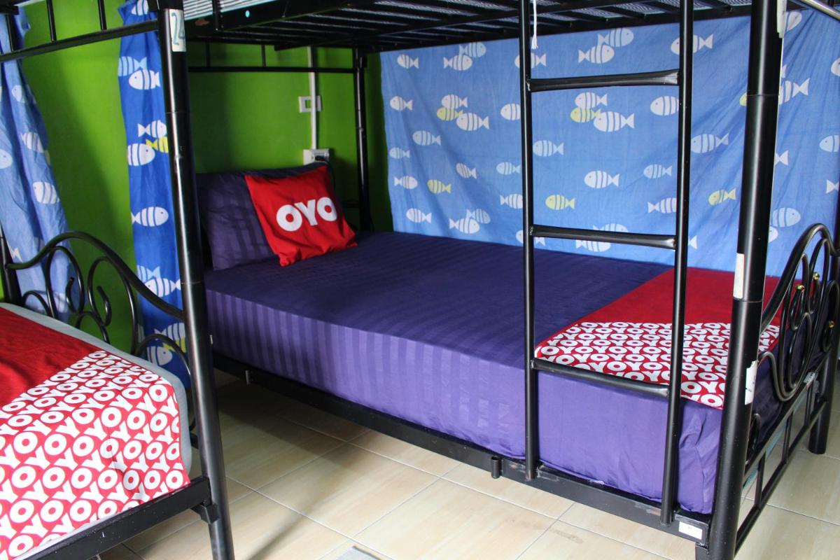 Bunk Bed in Mixed Dormitory Room photo 3