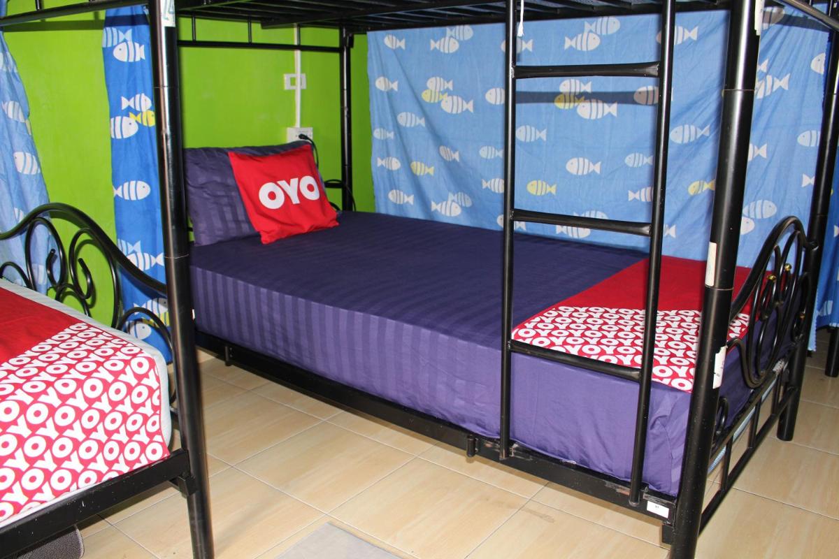 Bunk Bed in Mixed Dormitory Room photo 2