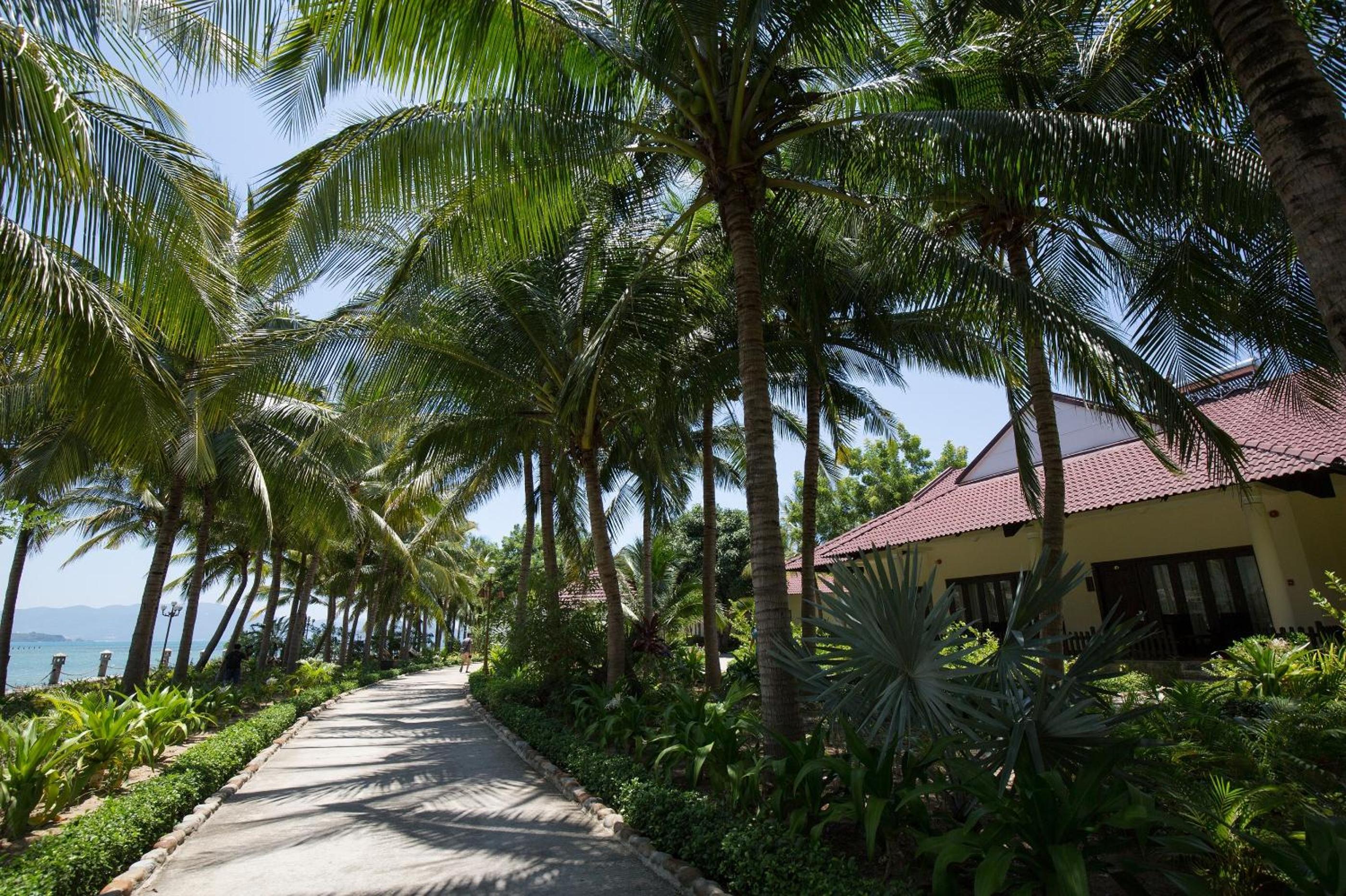 Diamond Bungalow with Sea View - Photo 13