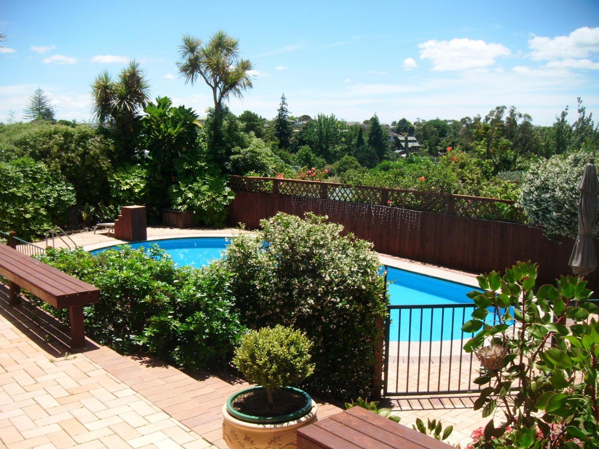 Queen Room with Pool View photo 2