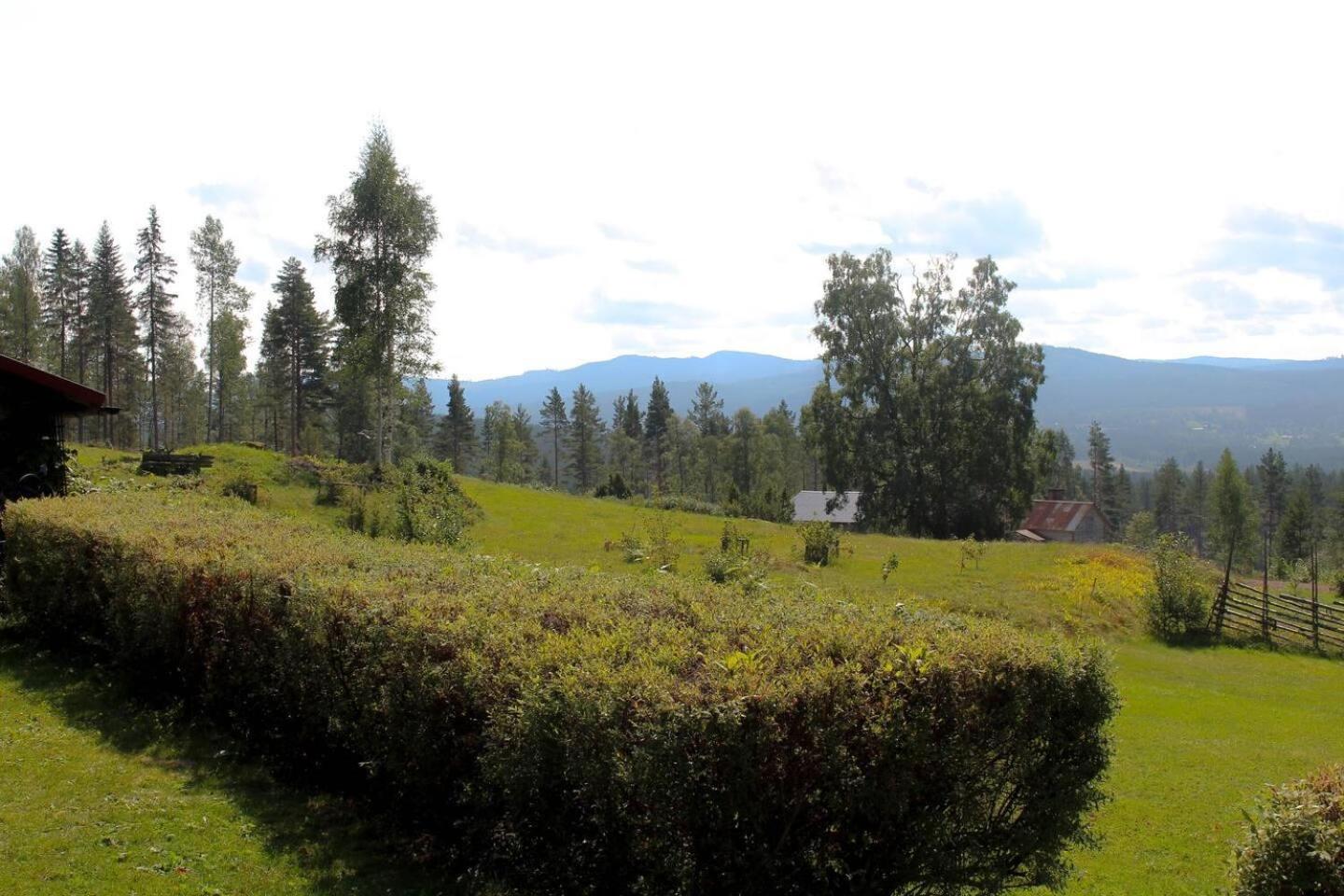 Double Room with Park View photo 2