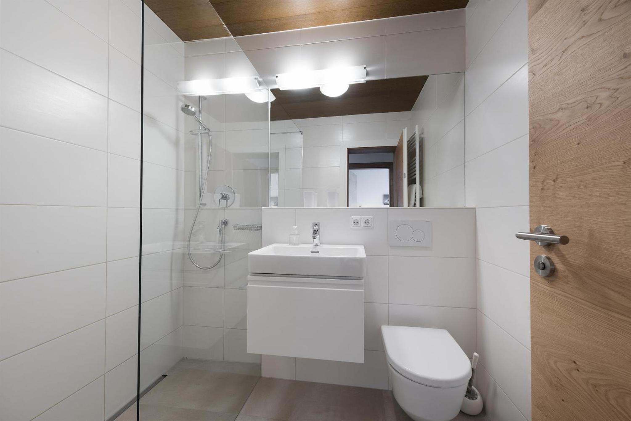 One-Bedroom Apartment with Shower photo 2