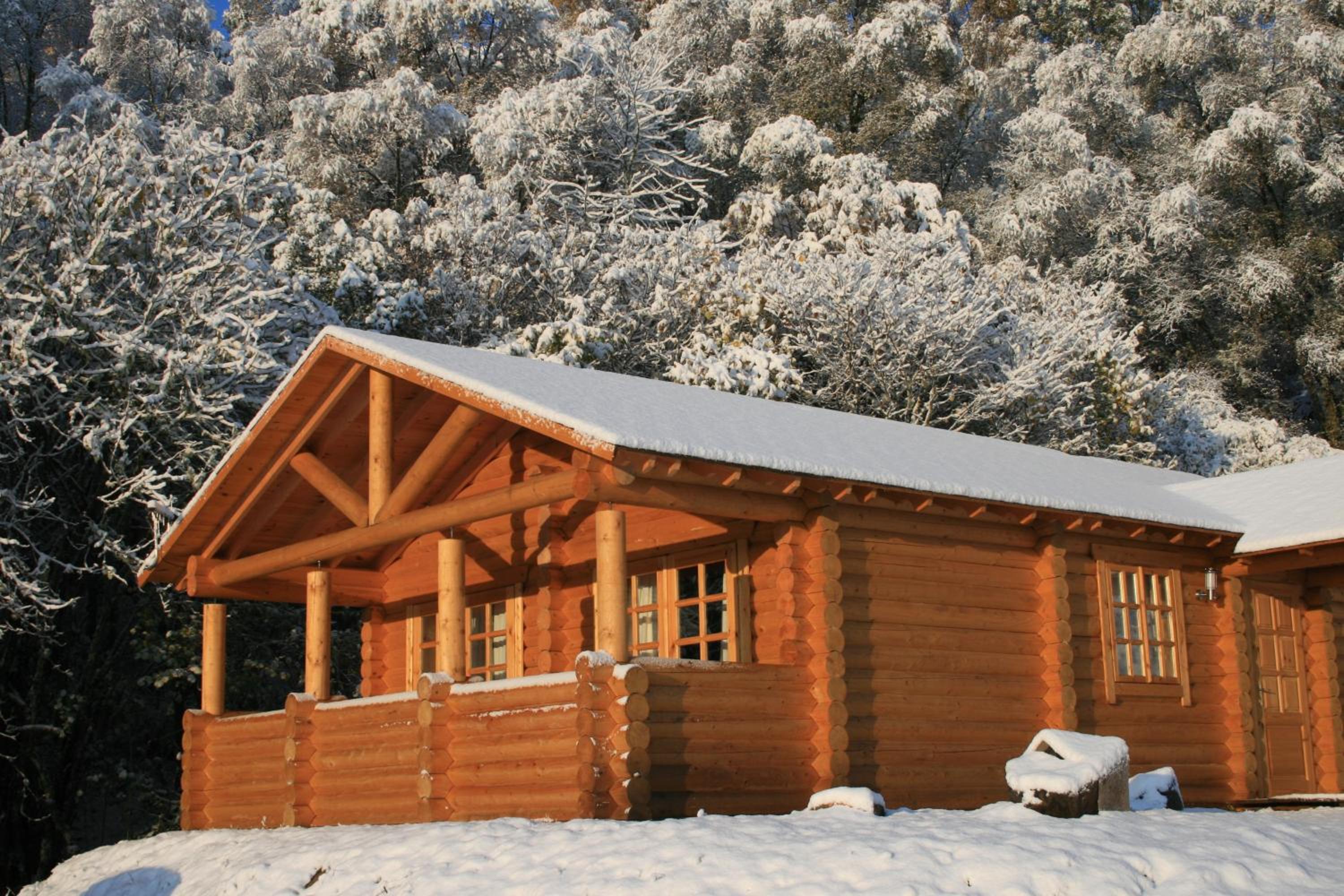 Two-Bedroom Chalet photo 2