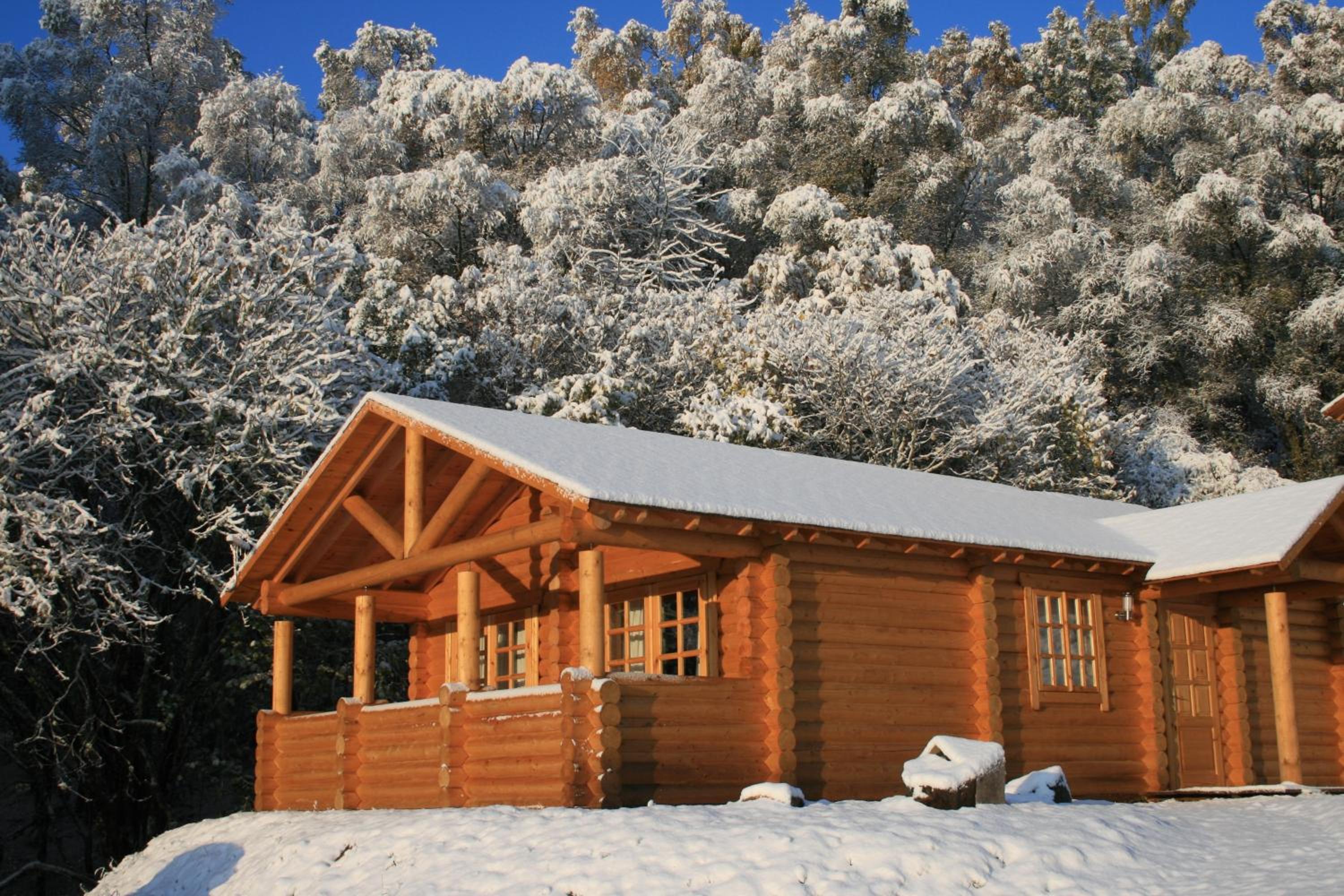 One-Bedroom Chalet photo 3