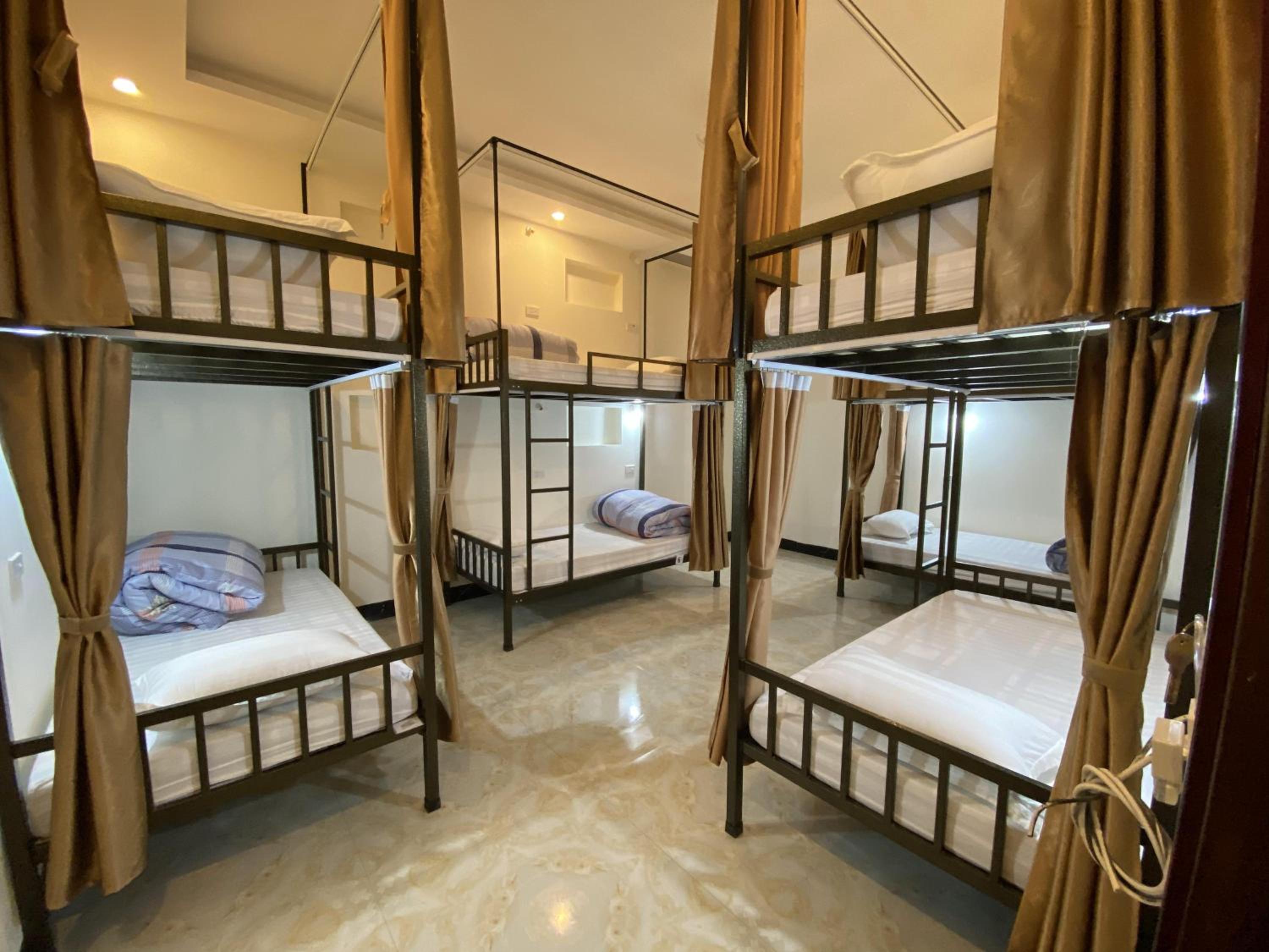 Bunk Bed in Mixed Dormitory Room photo 1