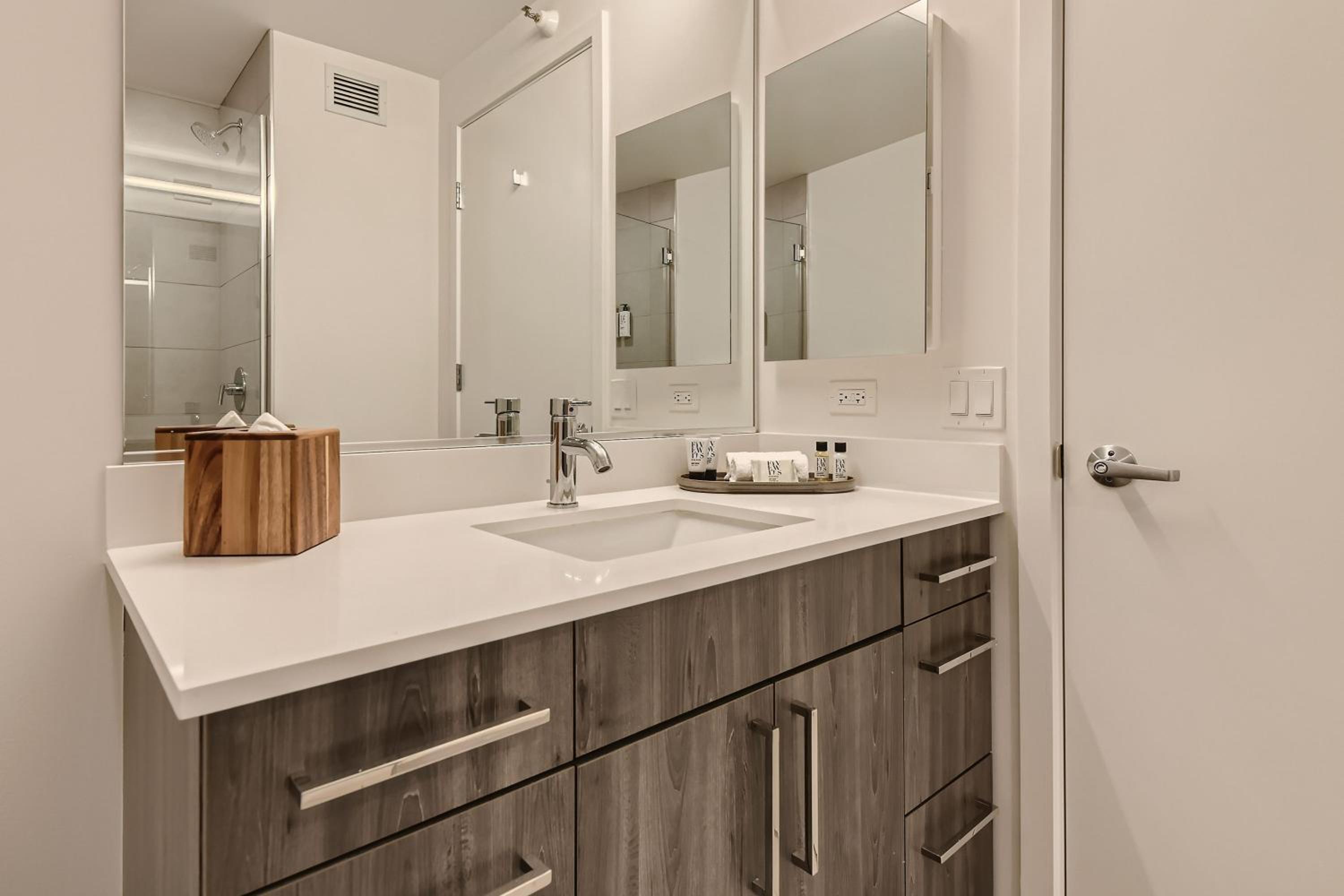 Studio Apt in South Loop Chicago - Photo 4