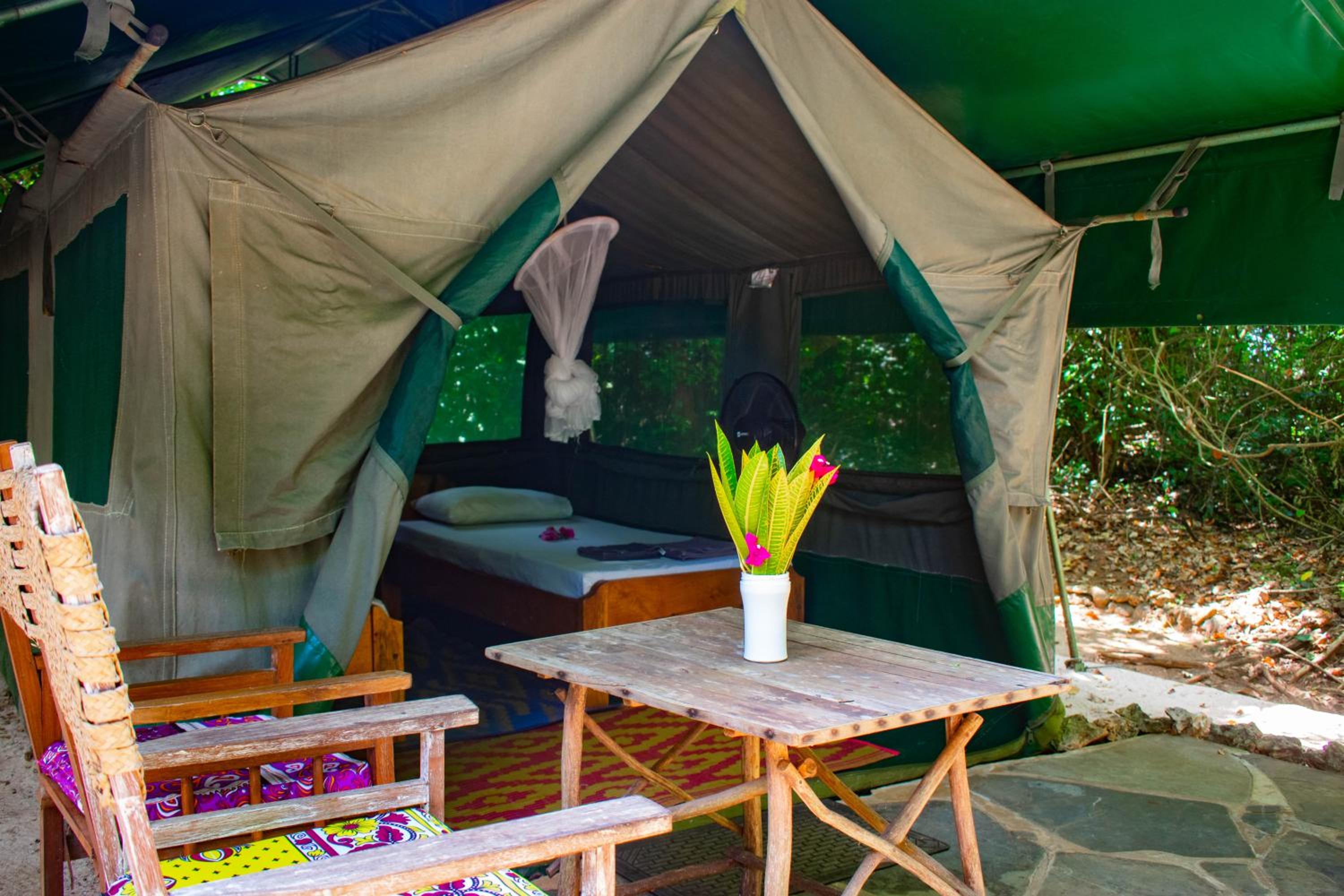Tent photo 3
