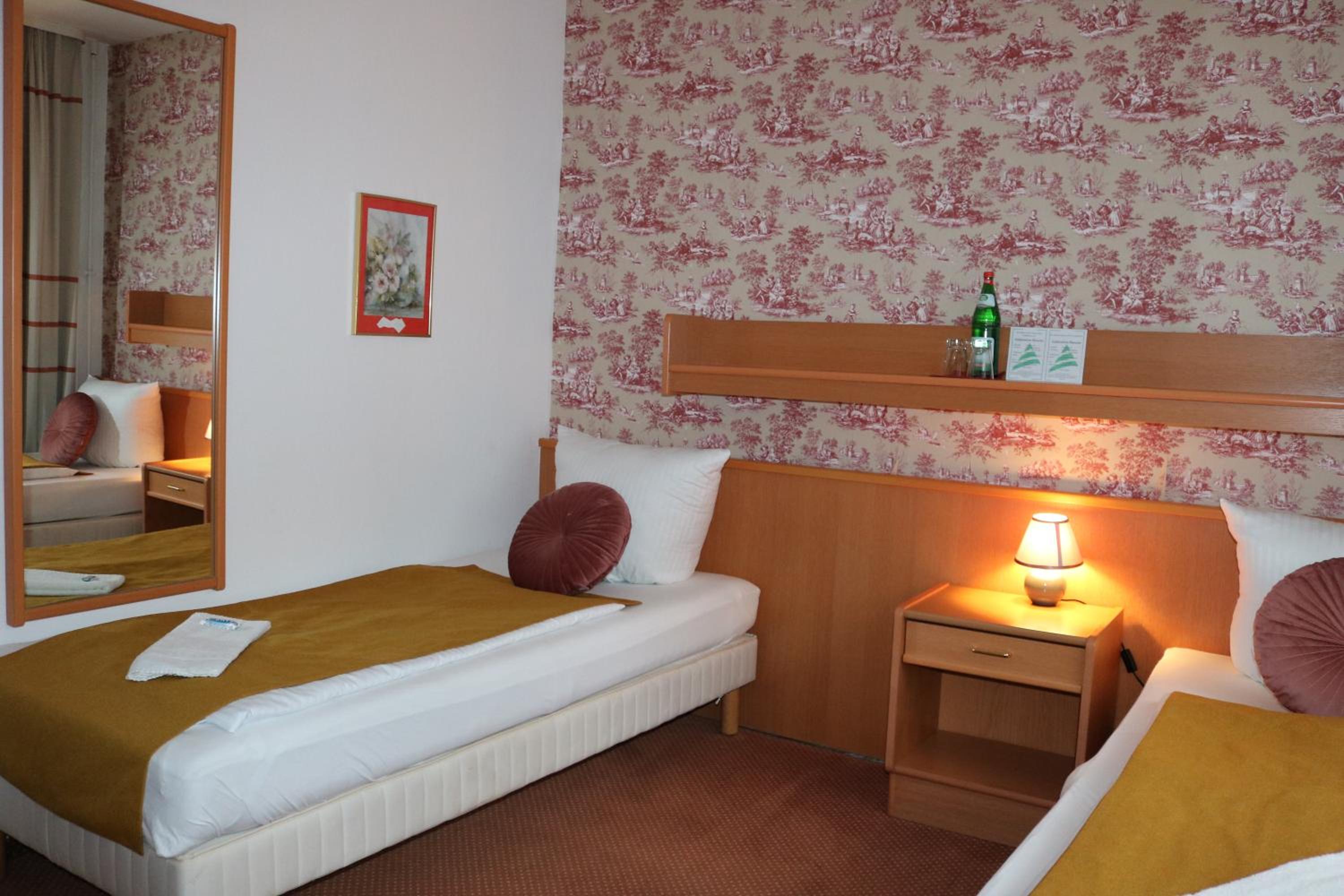Single Room with Mountain View (dogs not allowed)