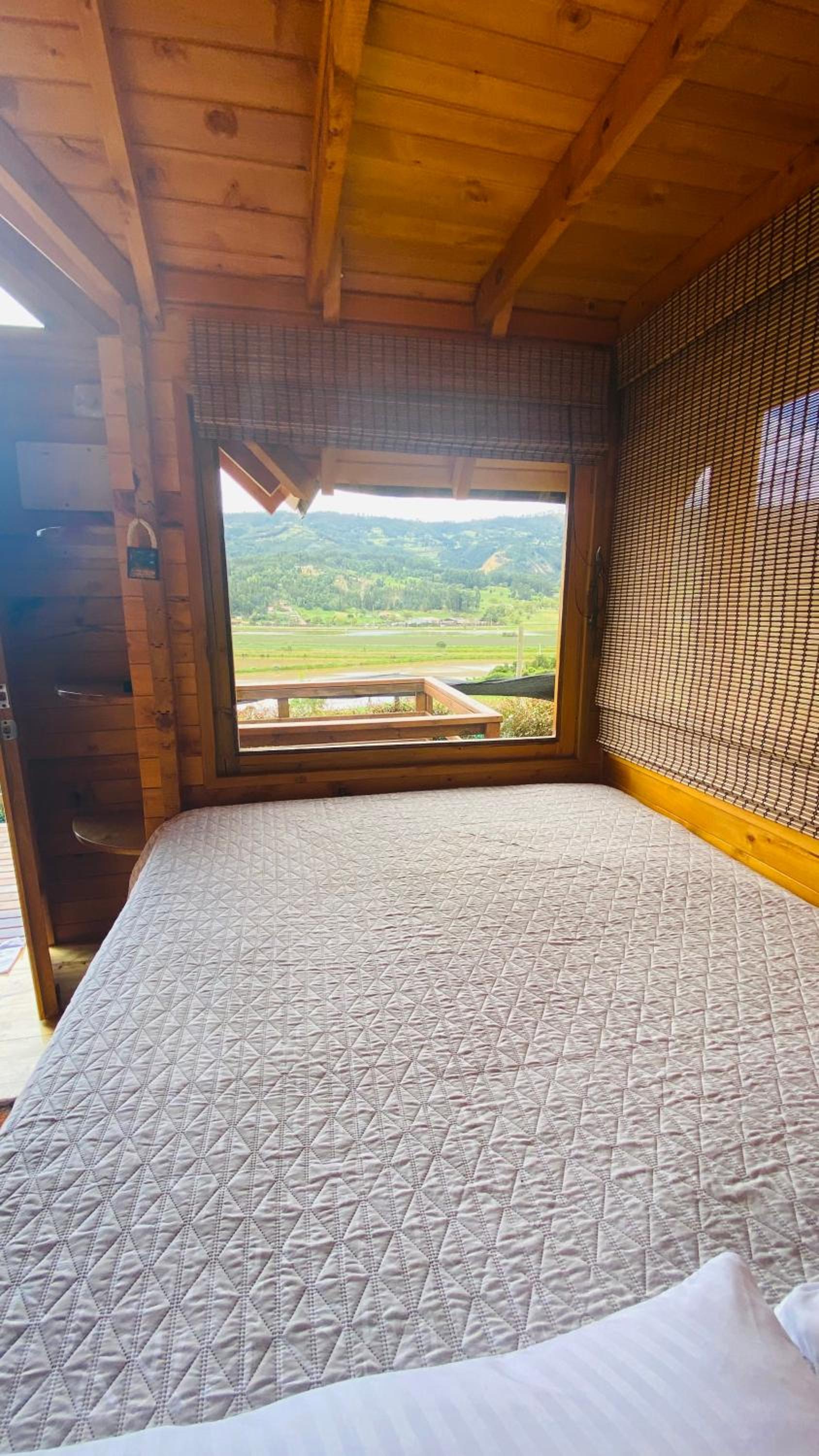 Twin Room with Lake View photo 1