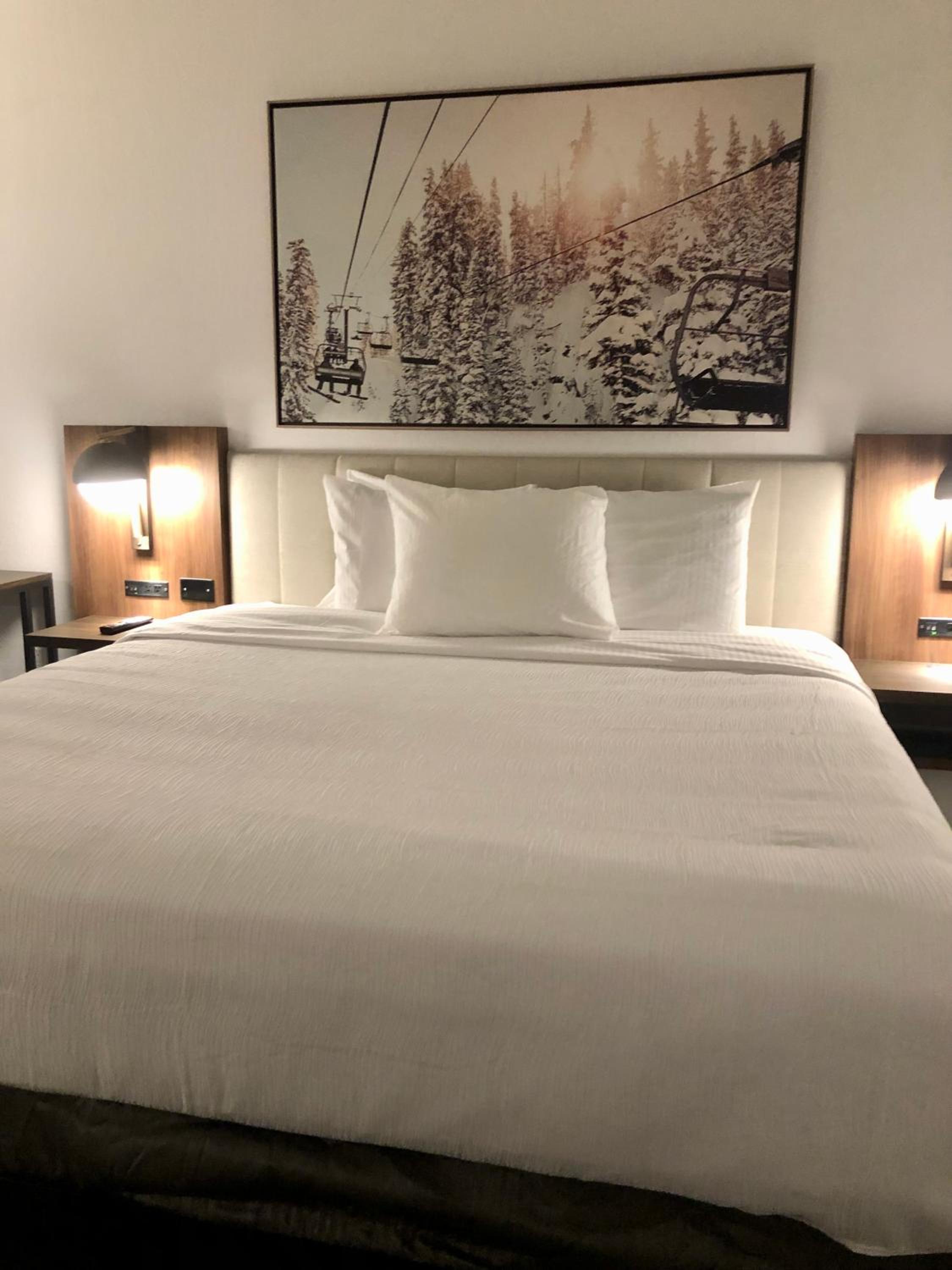1 King Bed, Deluxe Mobility Accessible Suite, Bathtub w/ Grab Bars, Non-Smoking - Photo 12