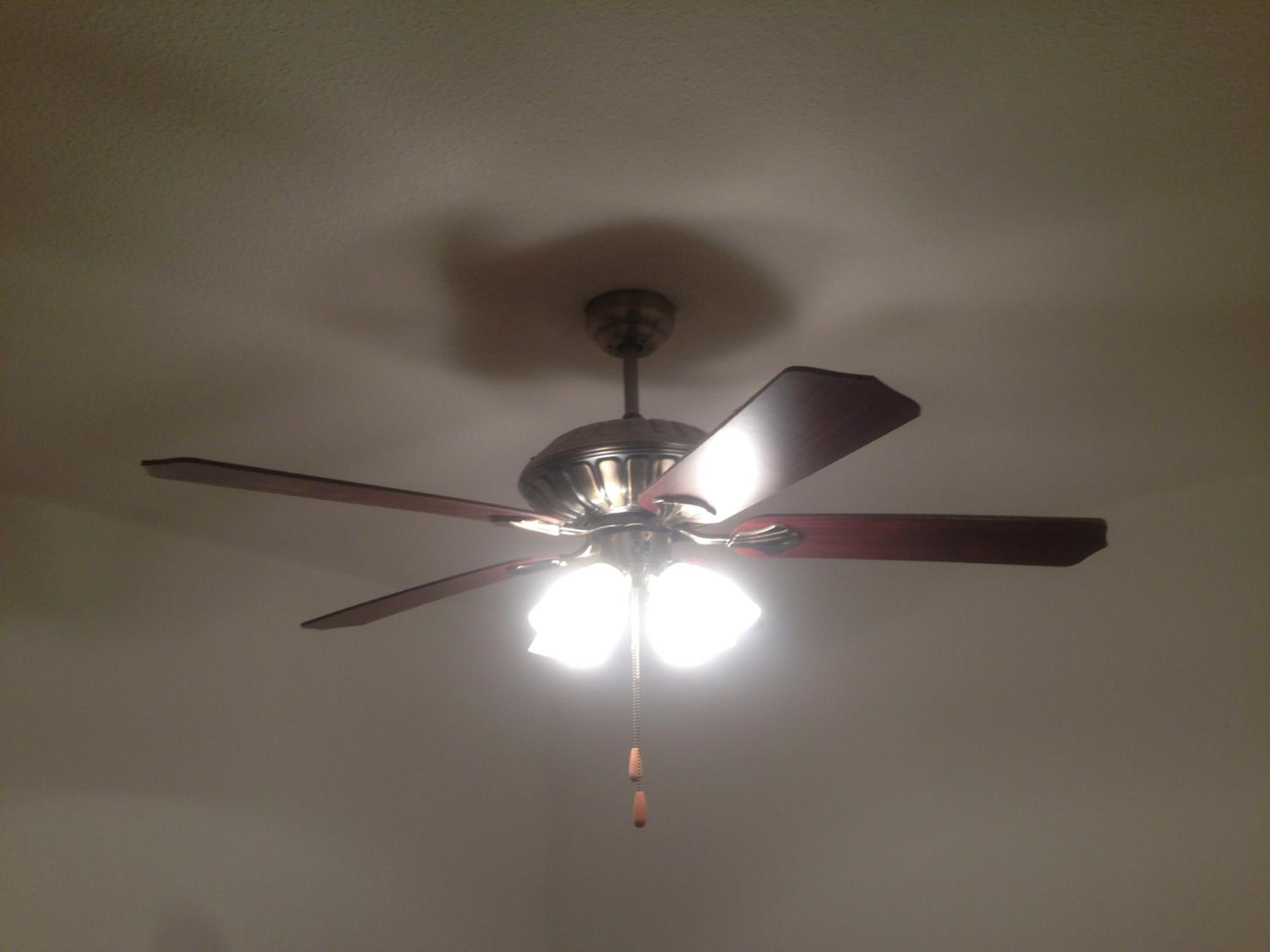 Standard Single Room photo 3