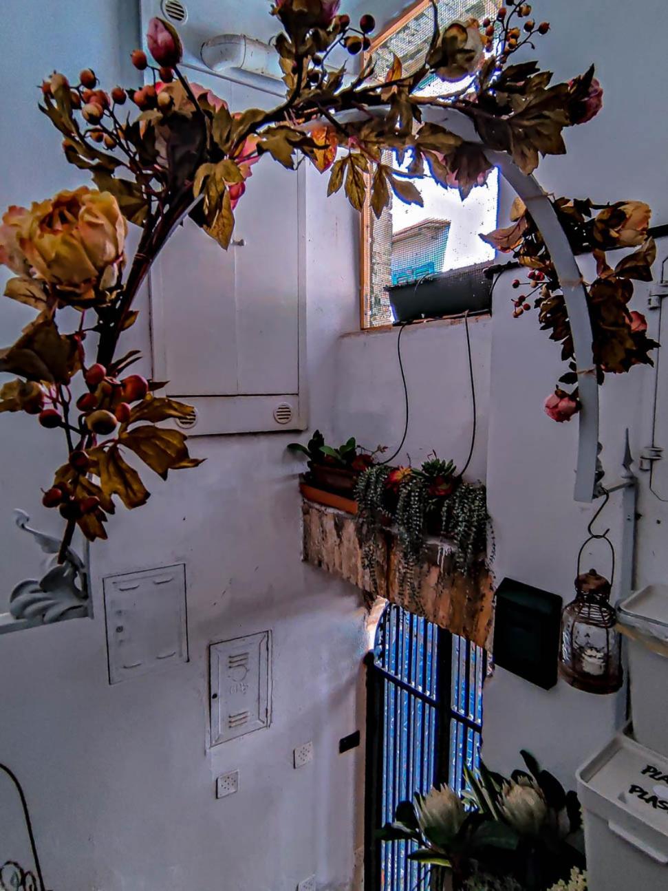 One-Bedroom House photo 3